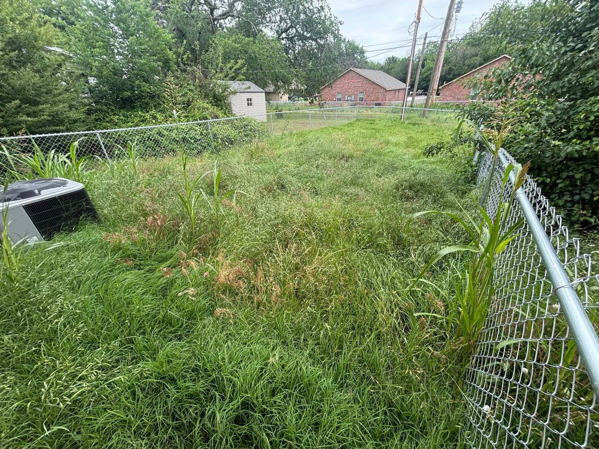 What an Overgrown Lawn Actually Costs to Fix