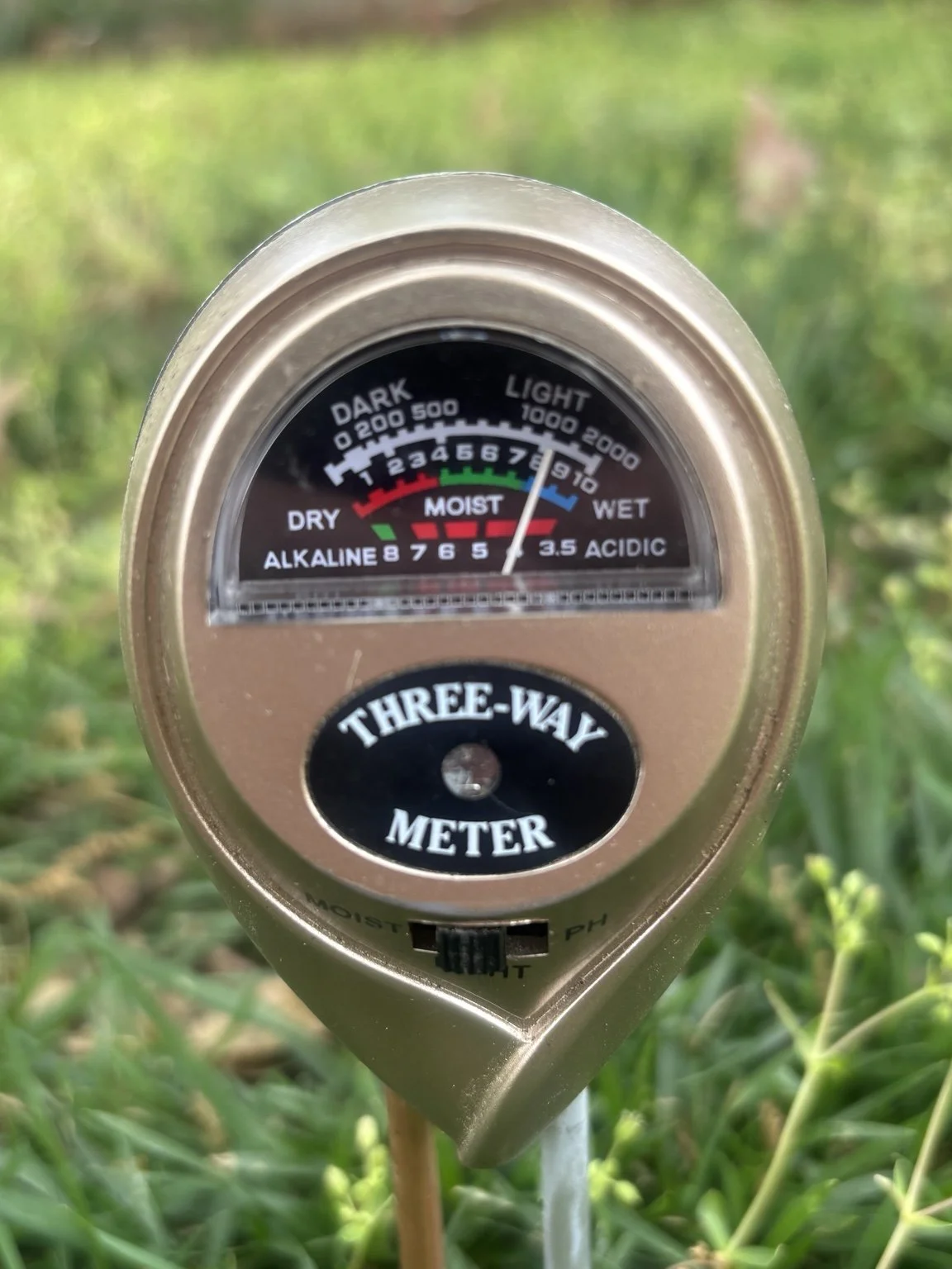 How Often Should You Water Your Lawn?