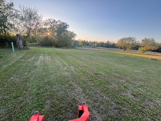 Clean mowing lines and striping achieved through consistent, professional lawn maintenance.