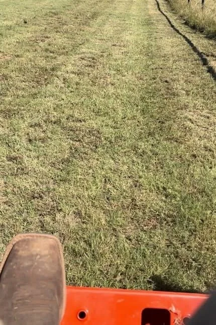 Lawn Maintenance Perkins OK