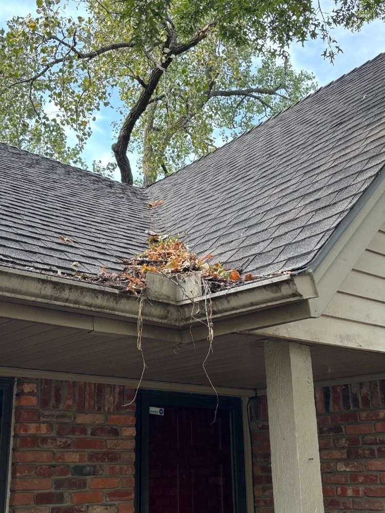 A damaged house roof with a pile of leaves and twigs in the gutter, some hanging down, and a tree with green leaves visible in the background.