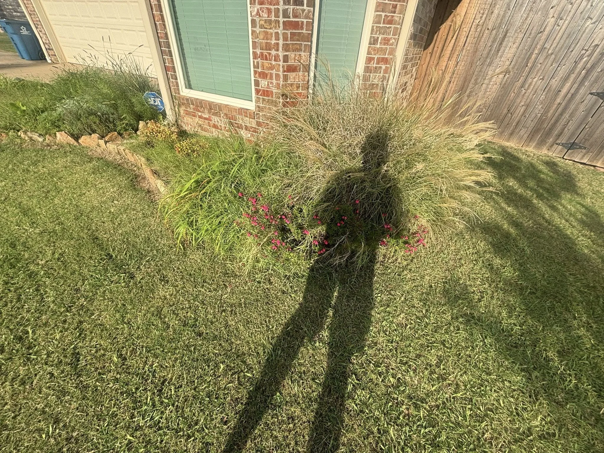 Flower Bed Cleanup (Before) - Cushing, Oklahoma