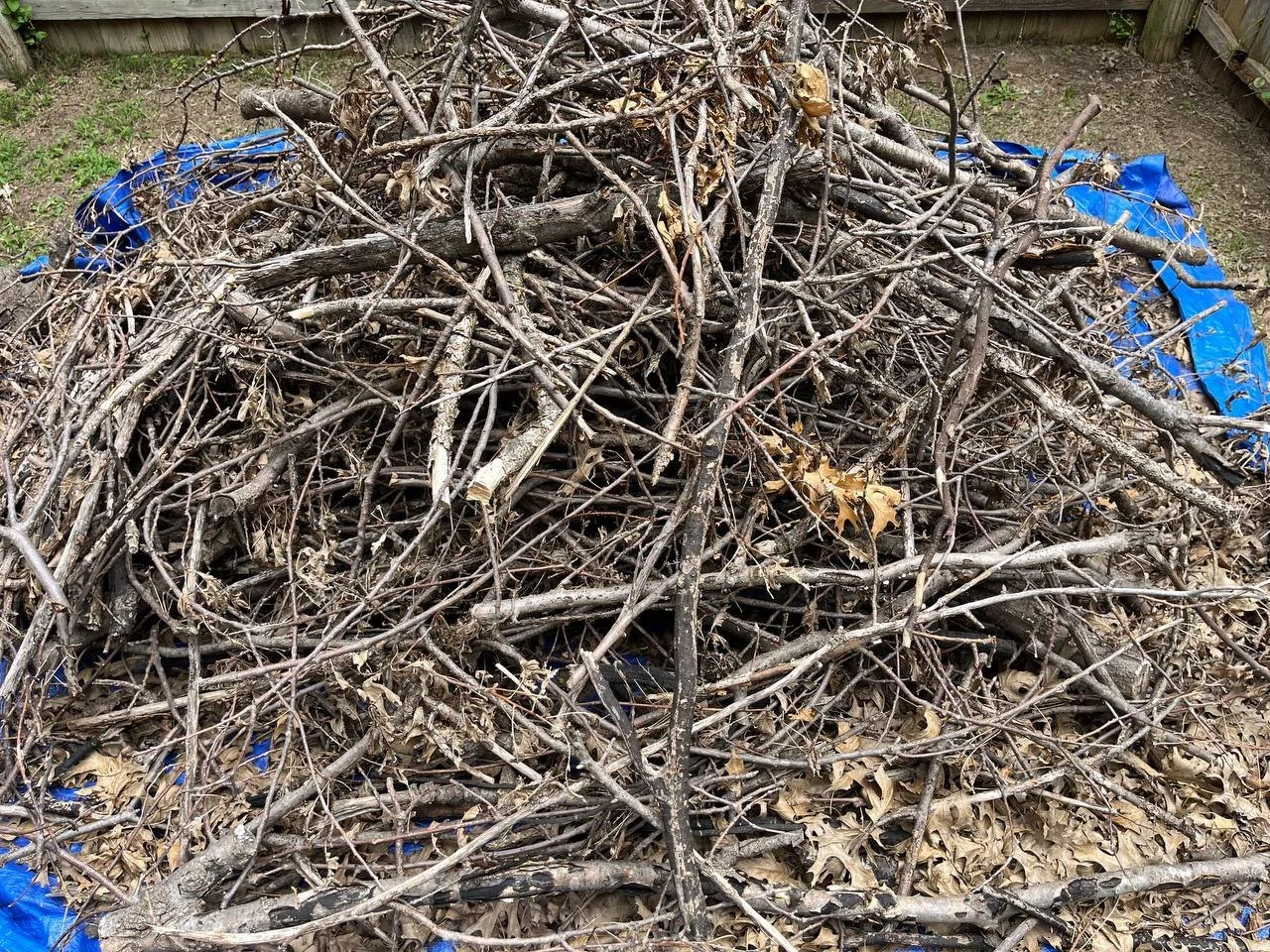 A pile of intertwined dry branches and sticks on a patch of ground with a blue tarp partially visible underneath.
