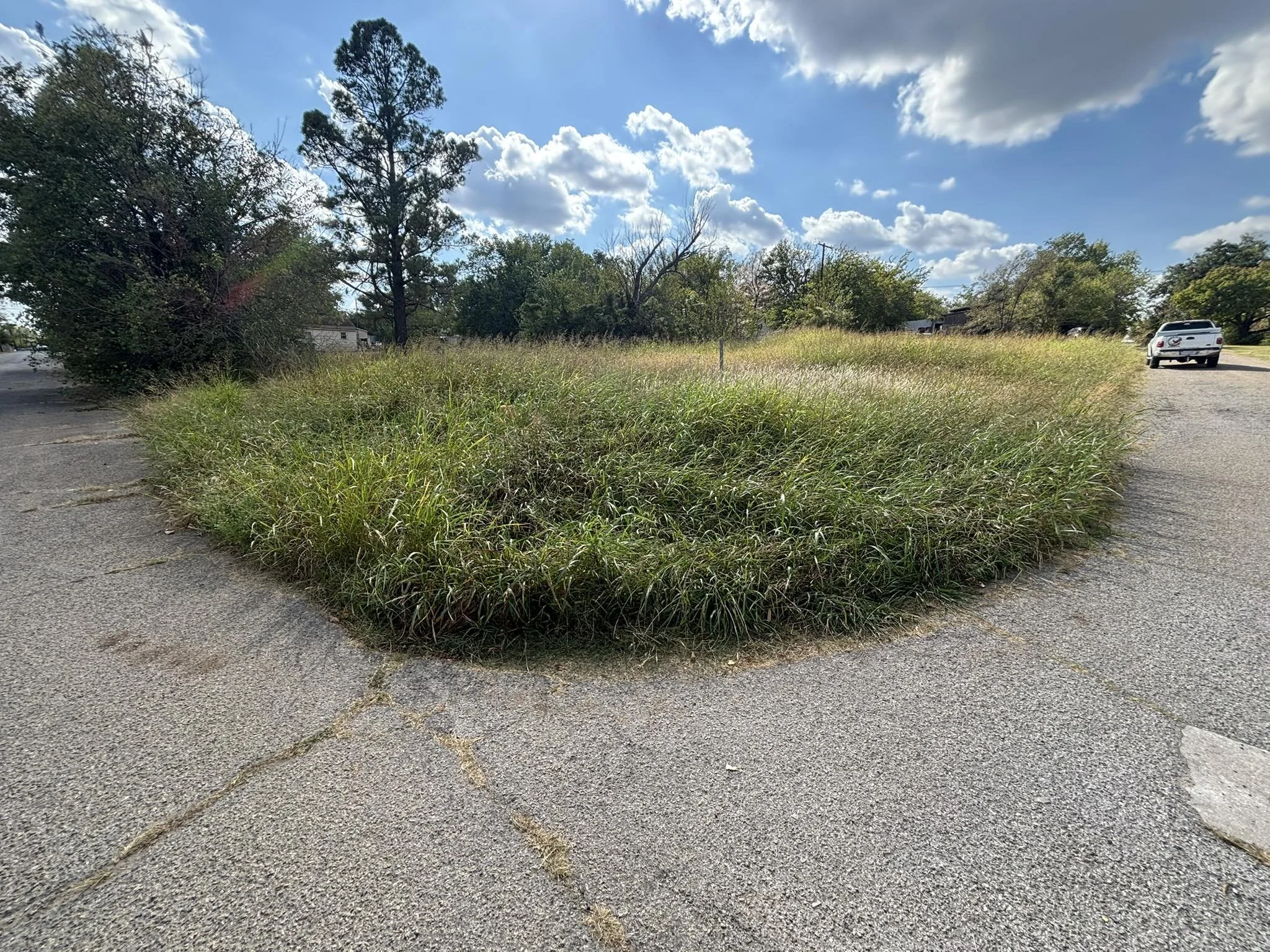 Lawn Care (Before) - Cushing, Oklahoma