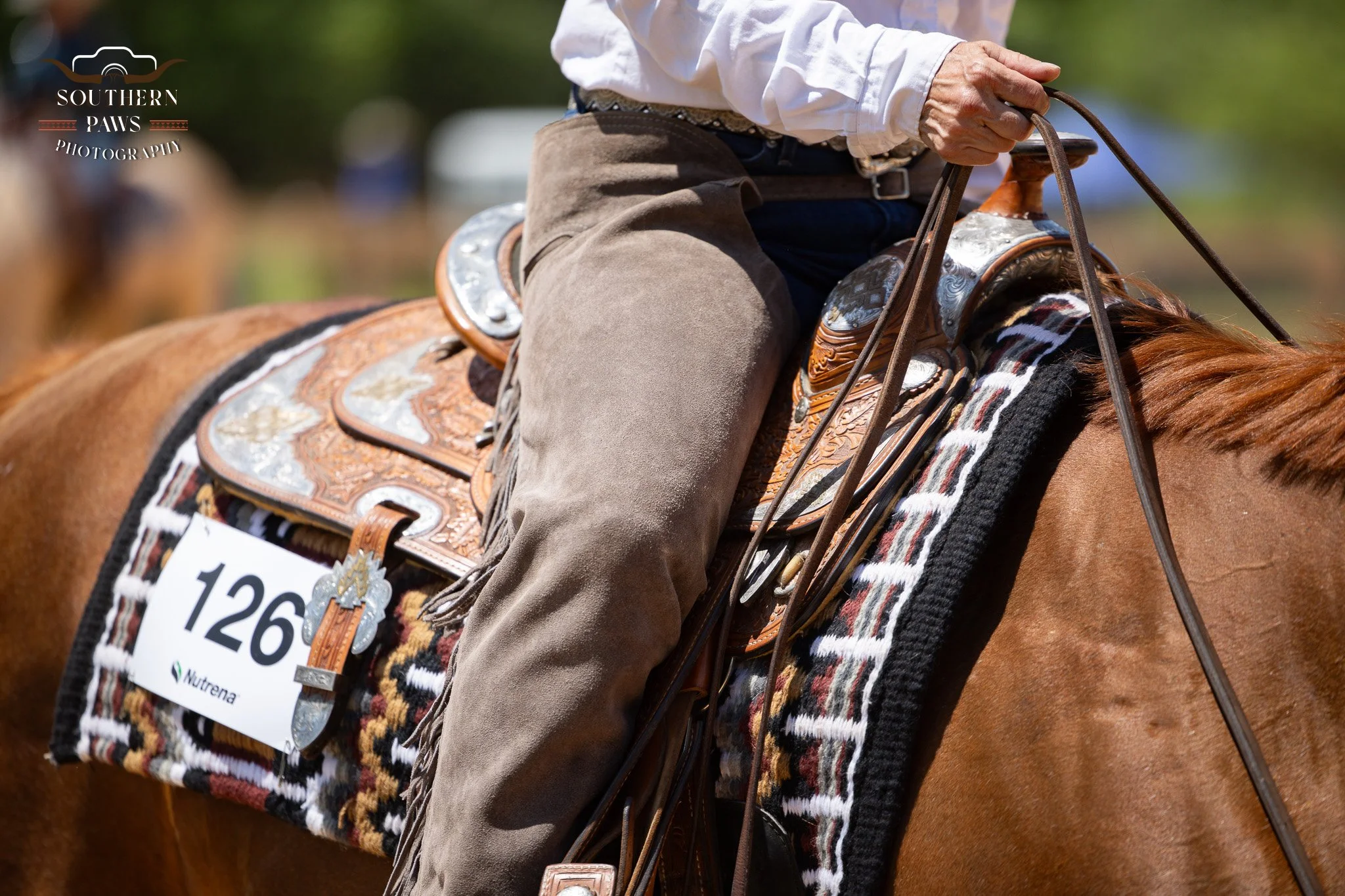 Western Dressage Clinic