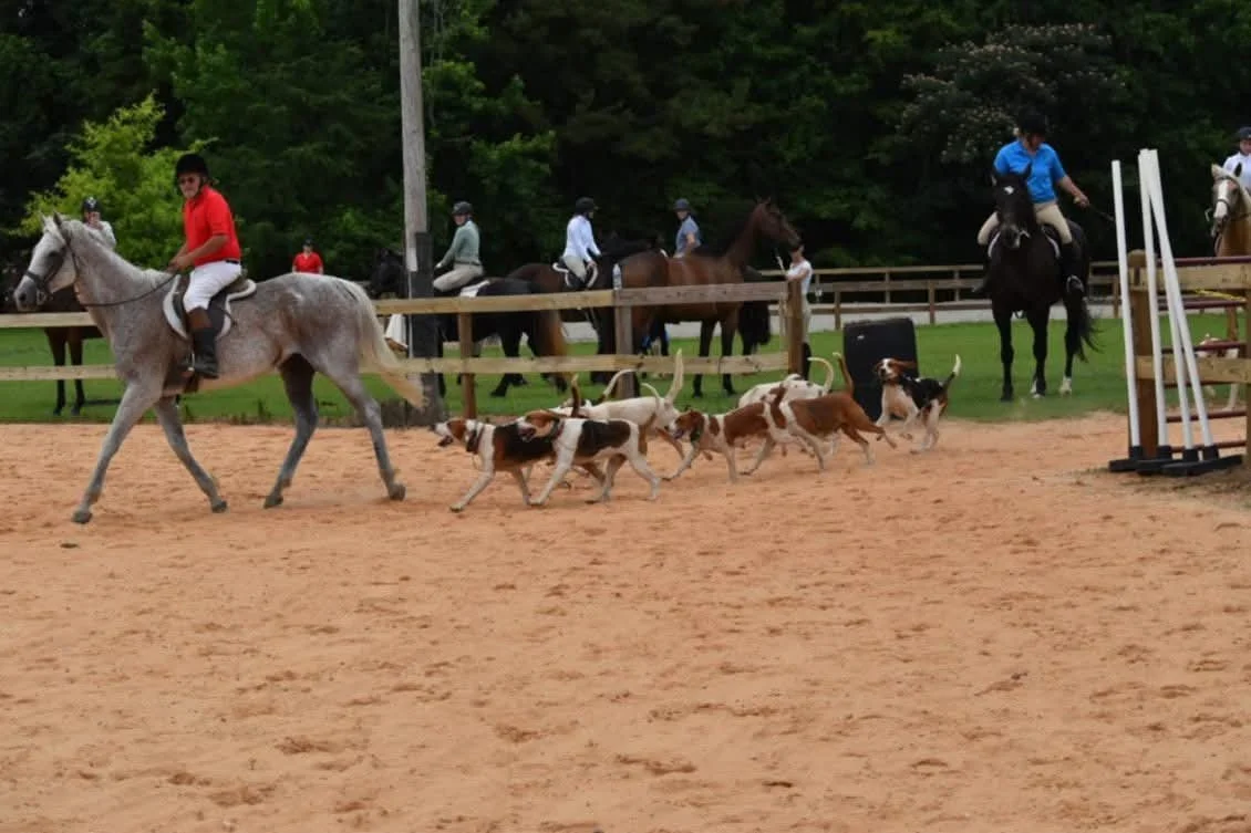 Mecklenburg Hounds Inc’s Spring Fling Horse Show