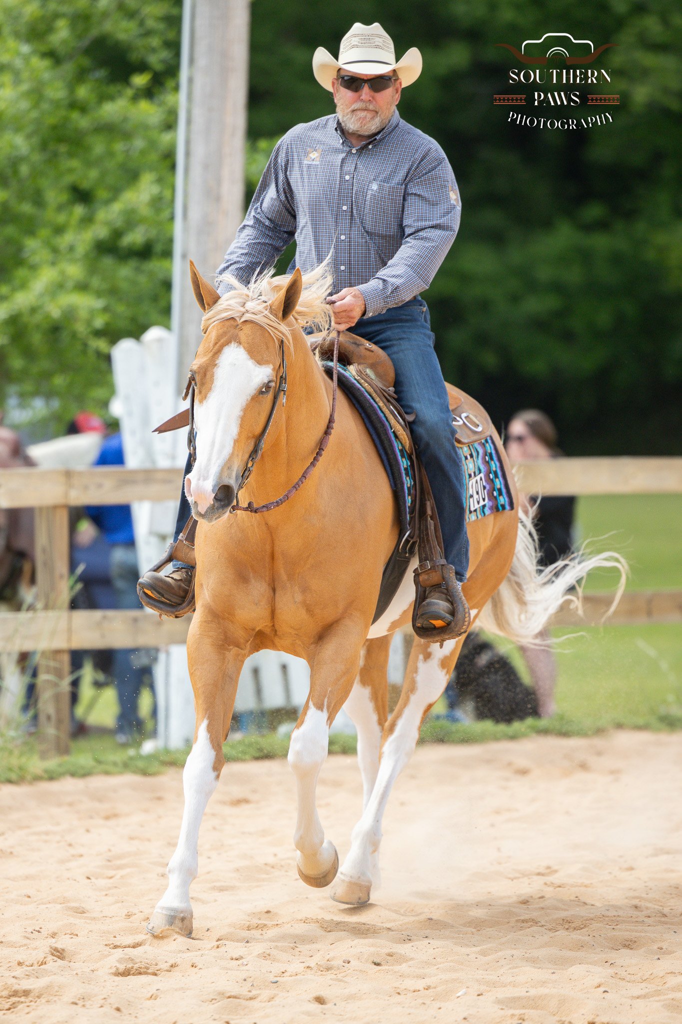 A man wearing a cowboy hat, sunglasses, a checkered shirt, and jeans rides a palomino horse with white markings on its legs and face, on a sandy riding arena with a wooden fence and green trees in the background.