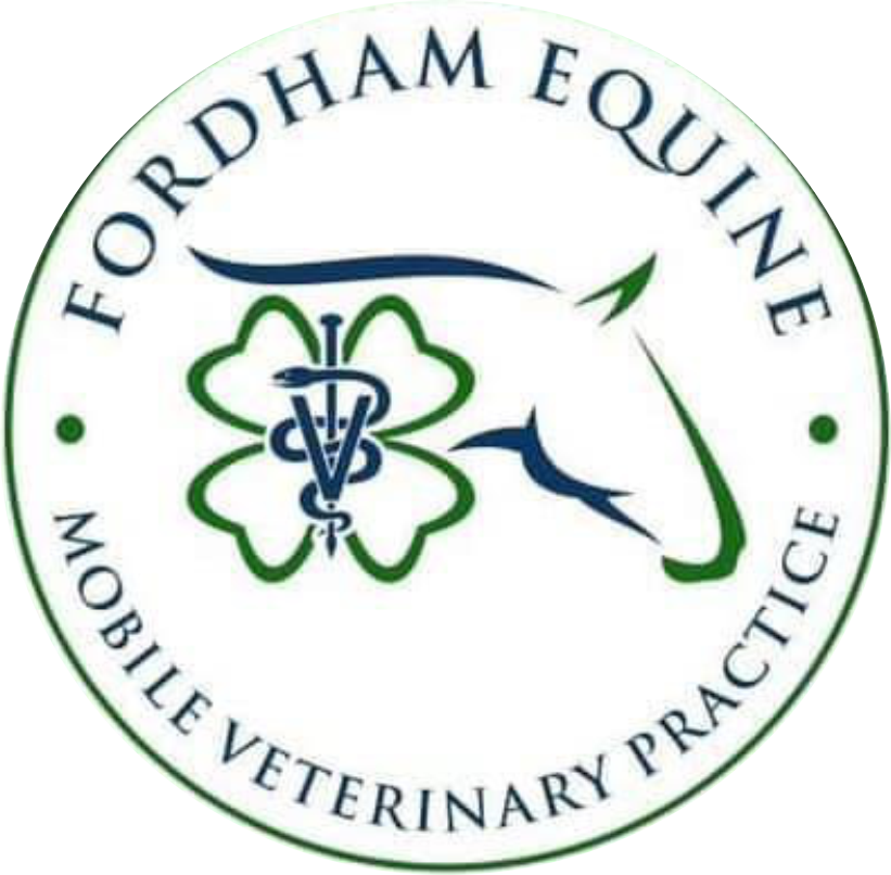 Logo for Fordham Equine, a mobile veterinary practice, featuring a horse head silhouette, a four-leaf clover, and a caduceus symbol with a leash wrapped around it.