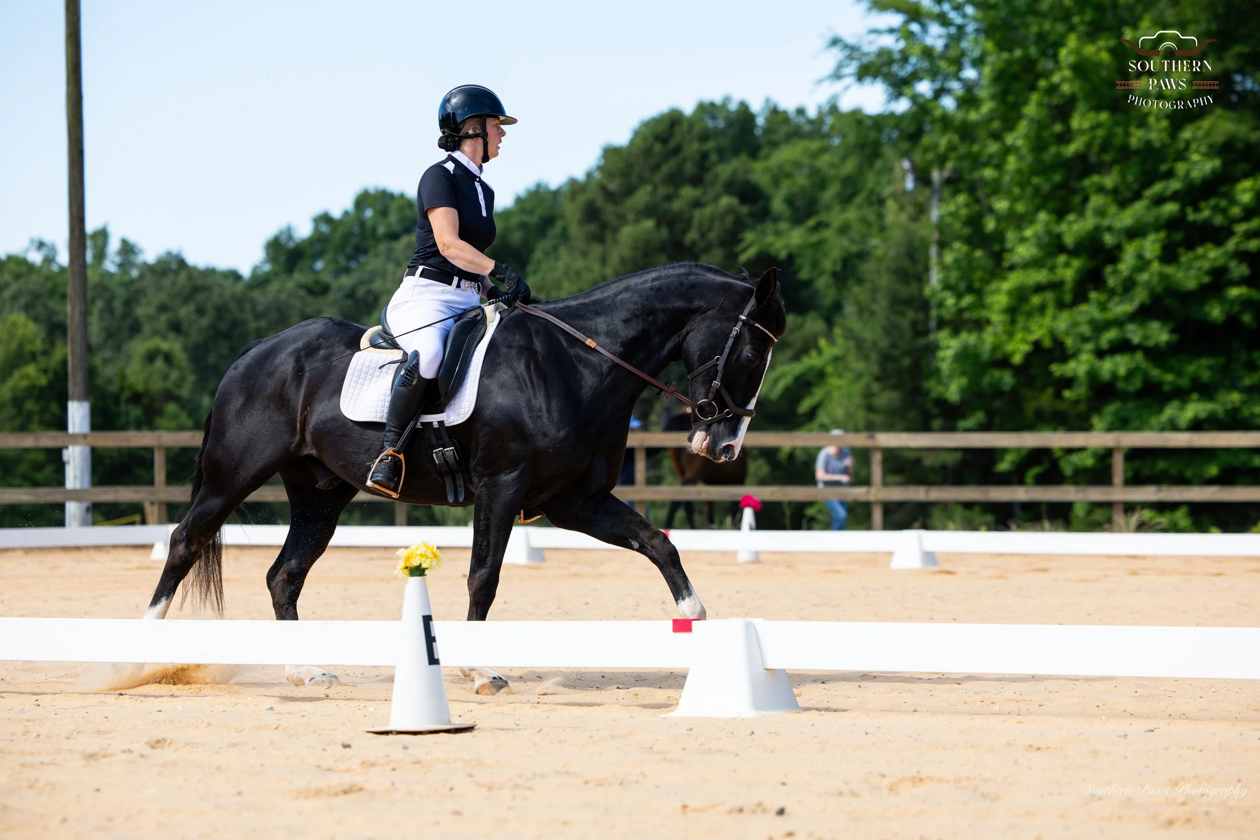 A female equestrian in black riding shirt and white breeches riding a black horse through a dressage arena with cones and flowers, surrounded by green trees.
