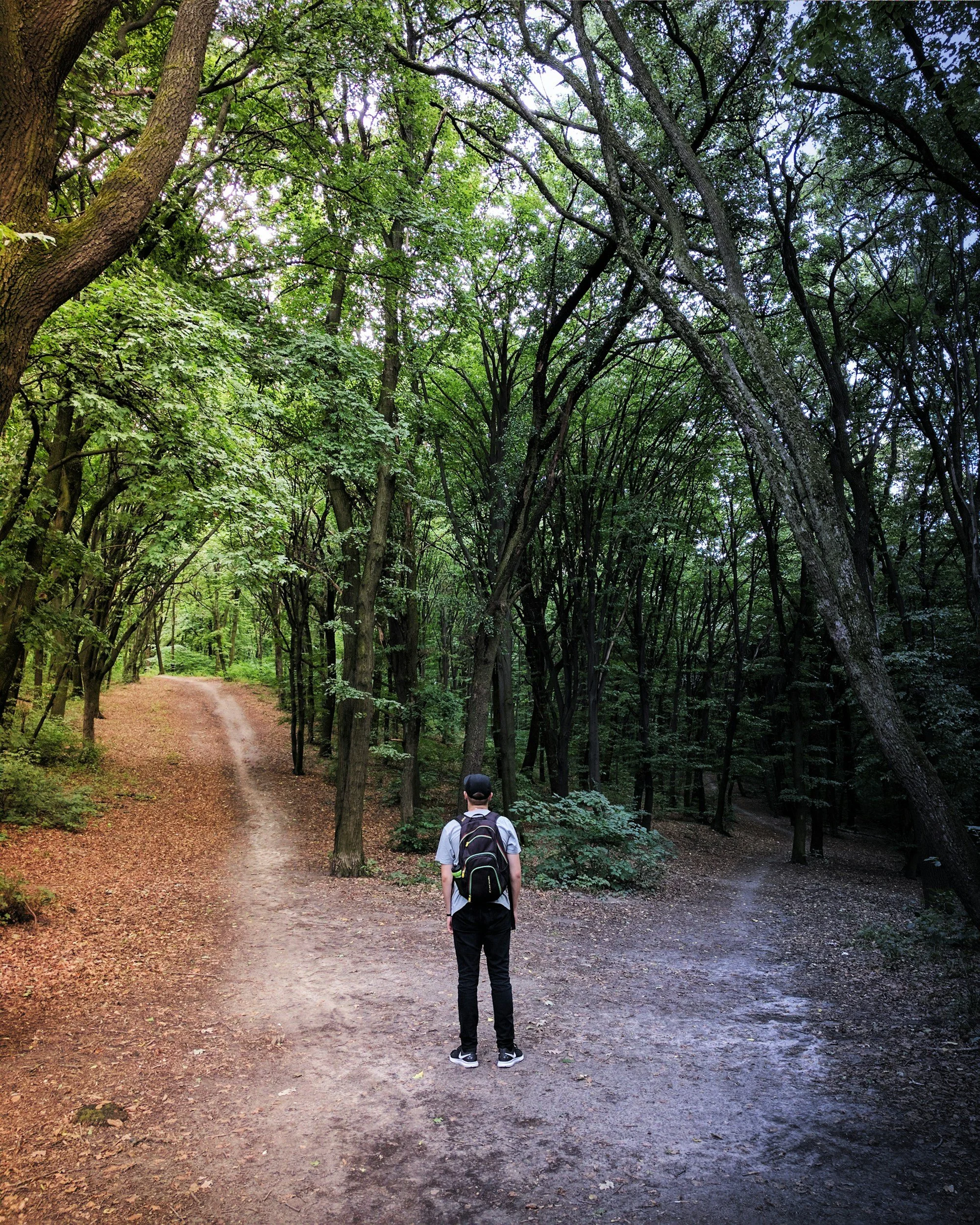 A person with a backpack walking on a dirt trail in a dense green forest.