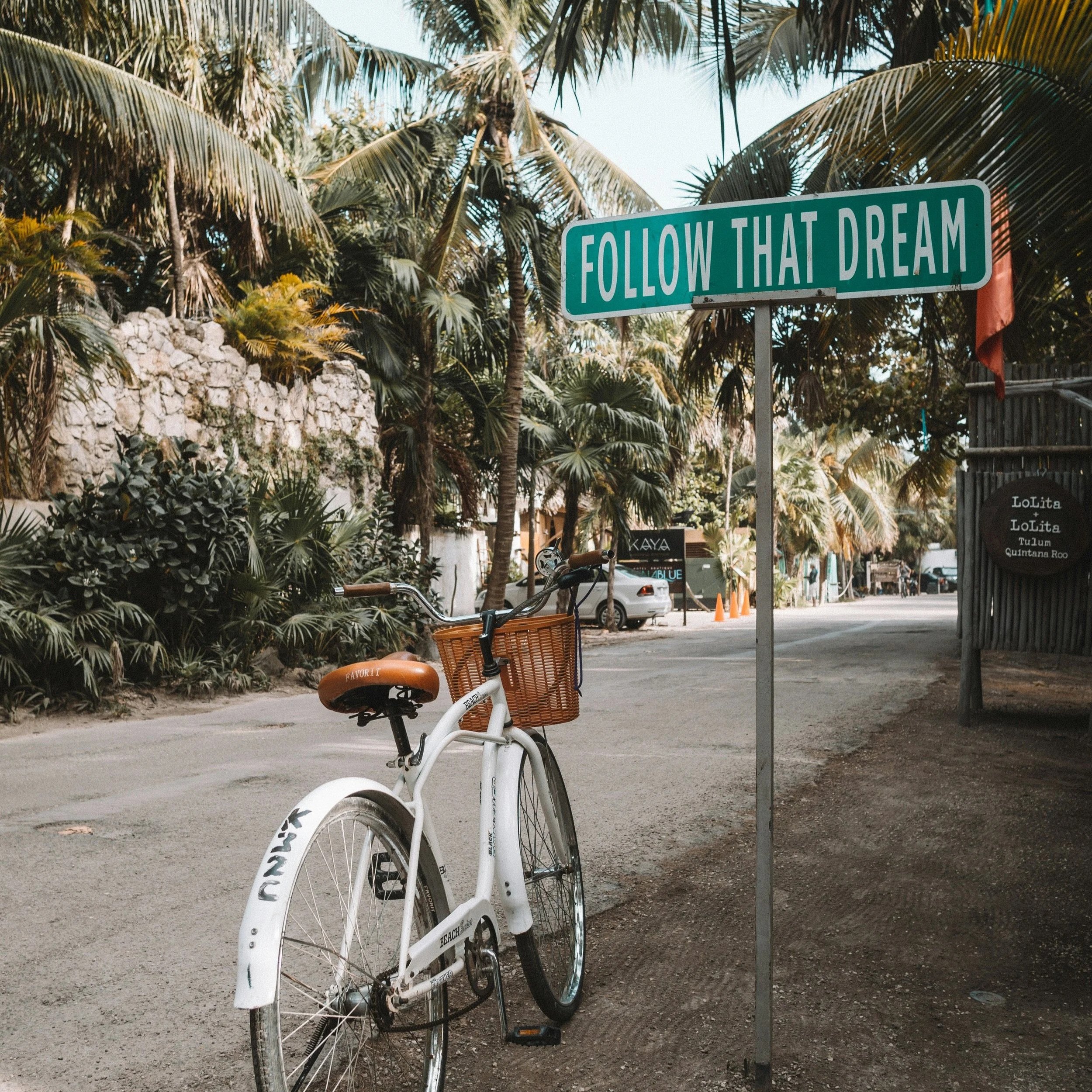 A white bicycle with a brown leather seat and handlebar basket parked beside a street sign that says "FOLLOW THAT DREAM." The background features tropical palm trees and a few buildings.