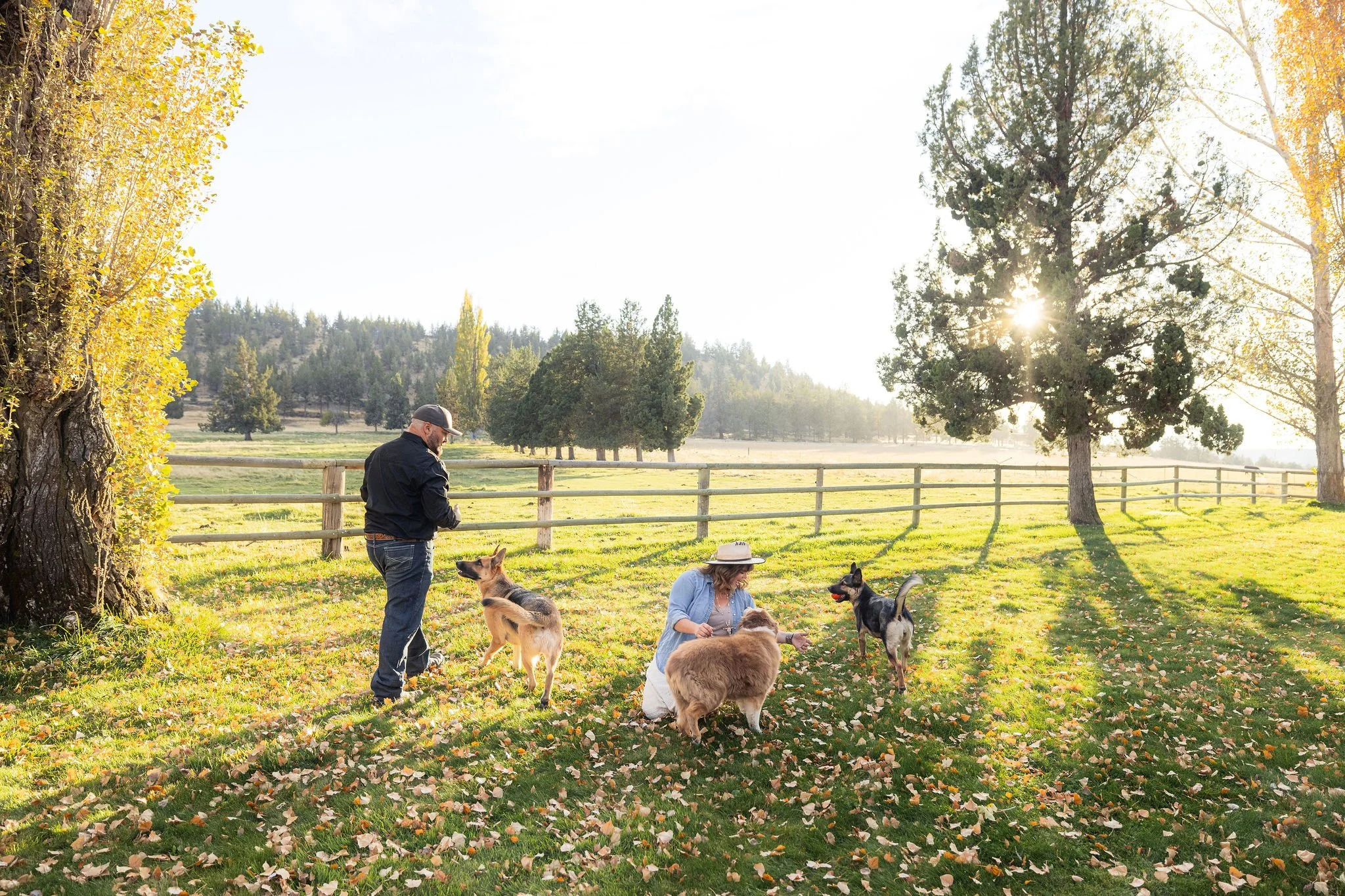 A person with a black jacket, jeans, and a cap, standing next to dogs, is in a grassy outdoor area with fallen autumn leaves. Another person is sitting on the grass, wearing a wide-brimmed hat, surrounded by dogs. The scene is set in a park with a wooden fence, tall trees, and the sun shining through the branches.