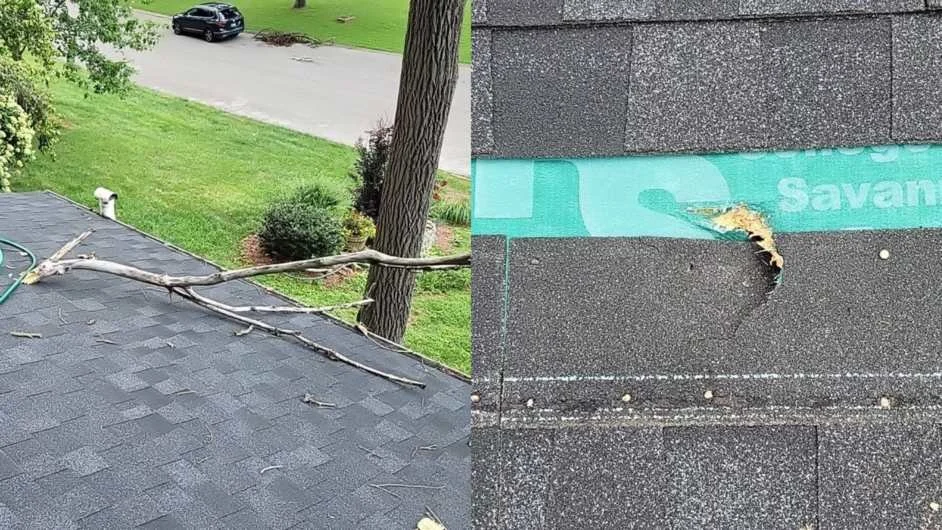 Roof damage from a branch