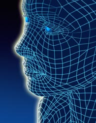 Your Nervous System