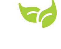 Two white hands holding a green leaf.