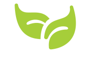 Two white hands holding a green plant with three leaves.