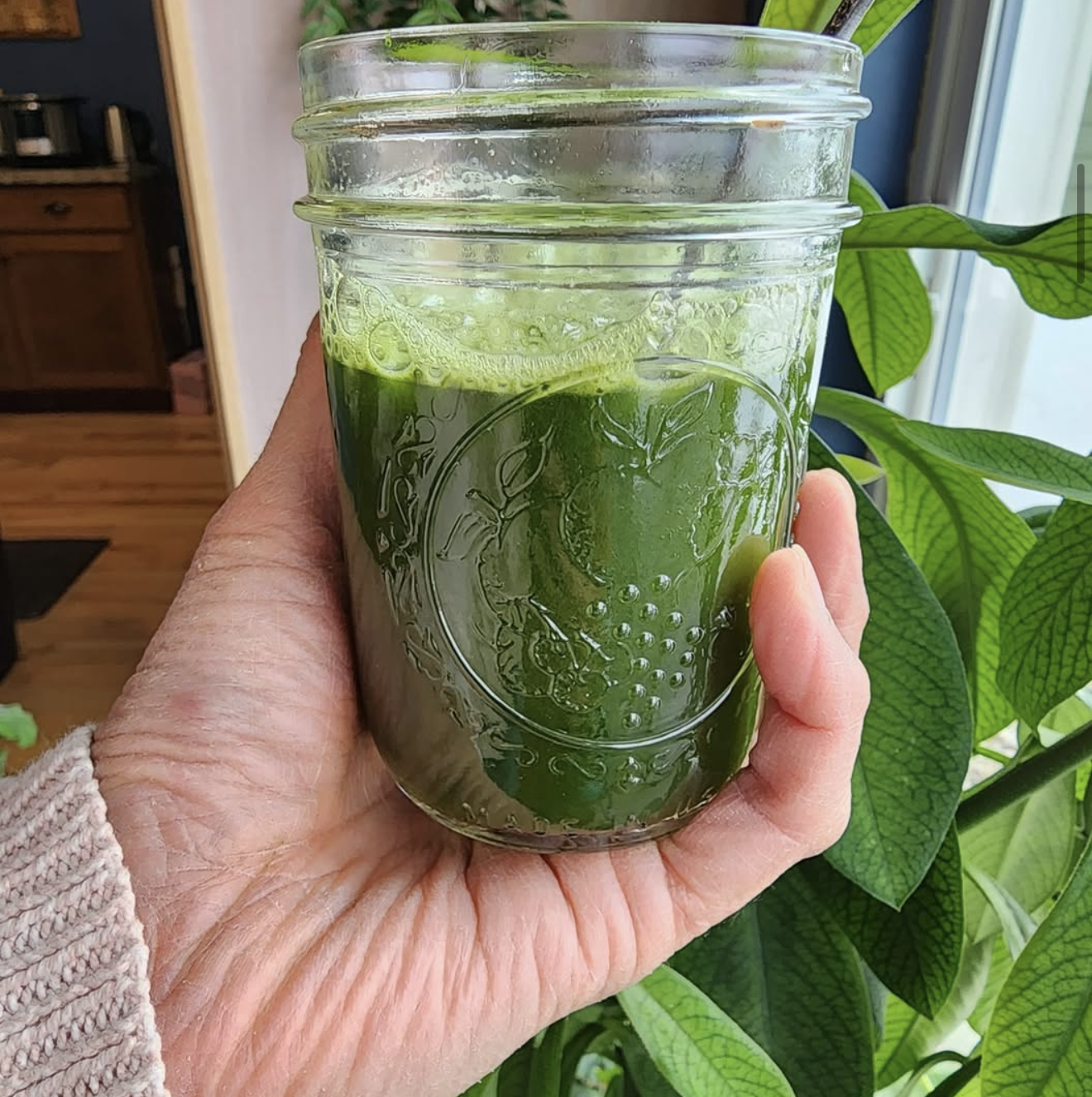 A hand holding a glass jar filled with a green smoothie, with a fresh green leaf floating on top, next to a leafy green plant near a window.