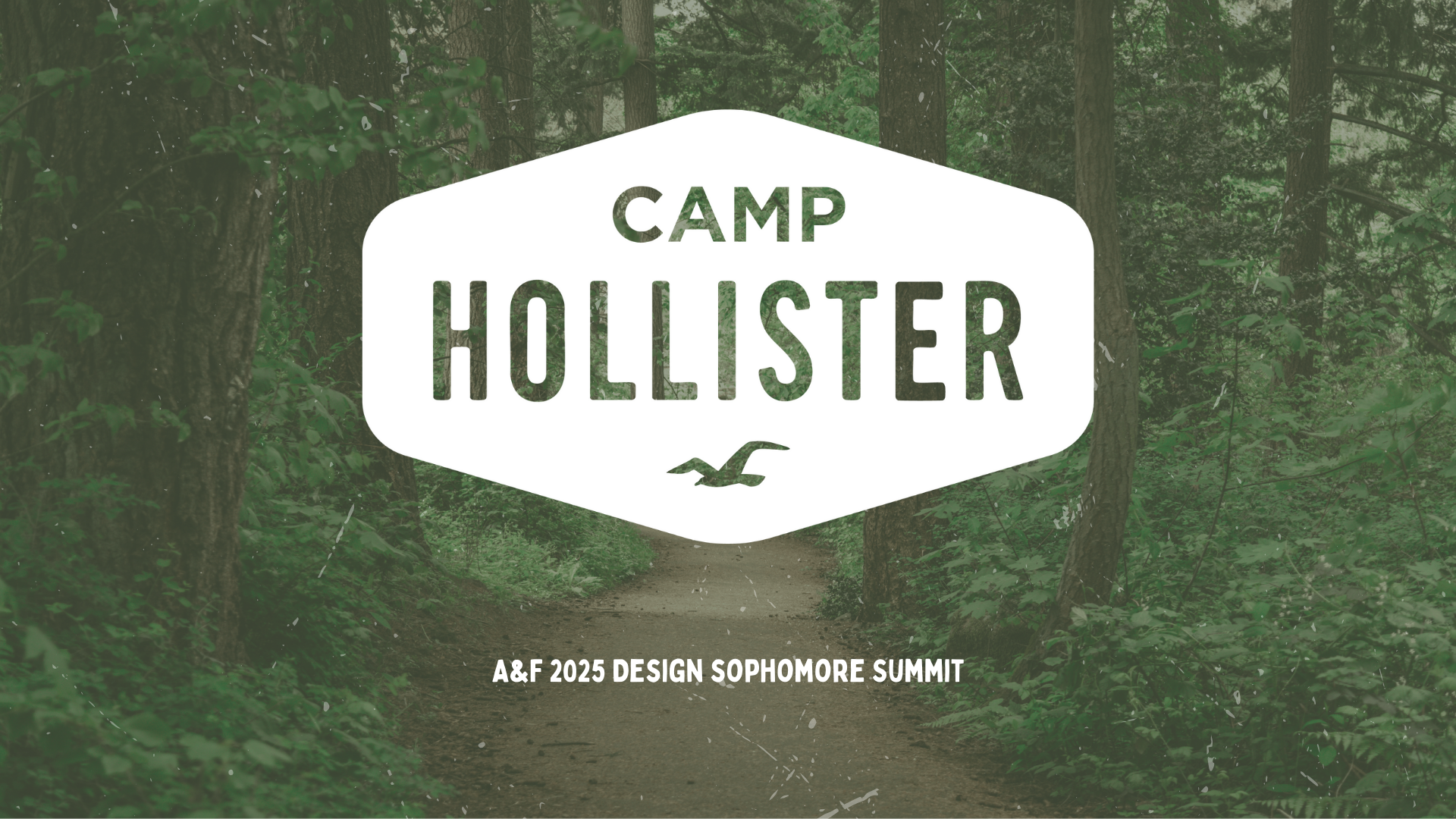 Camp Hollister