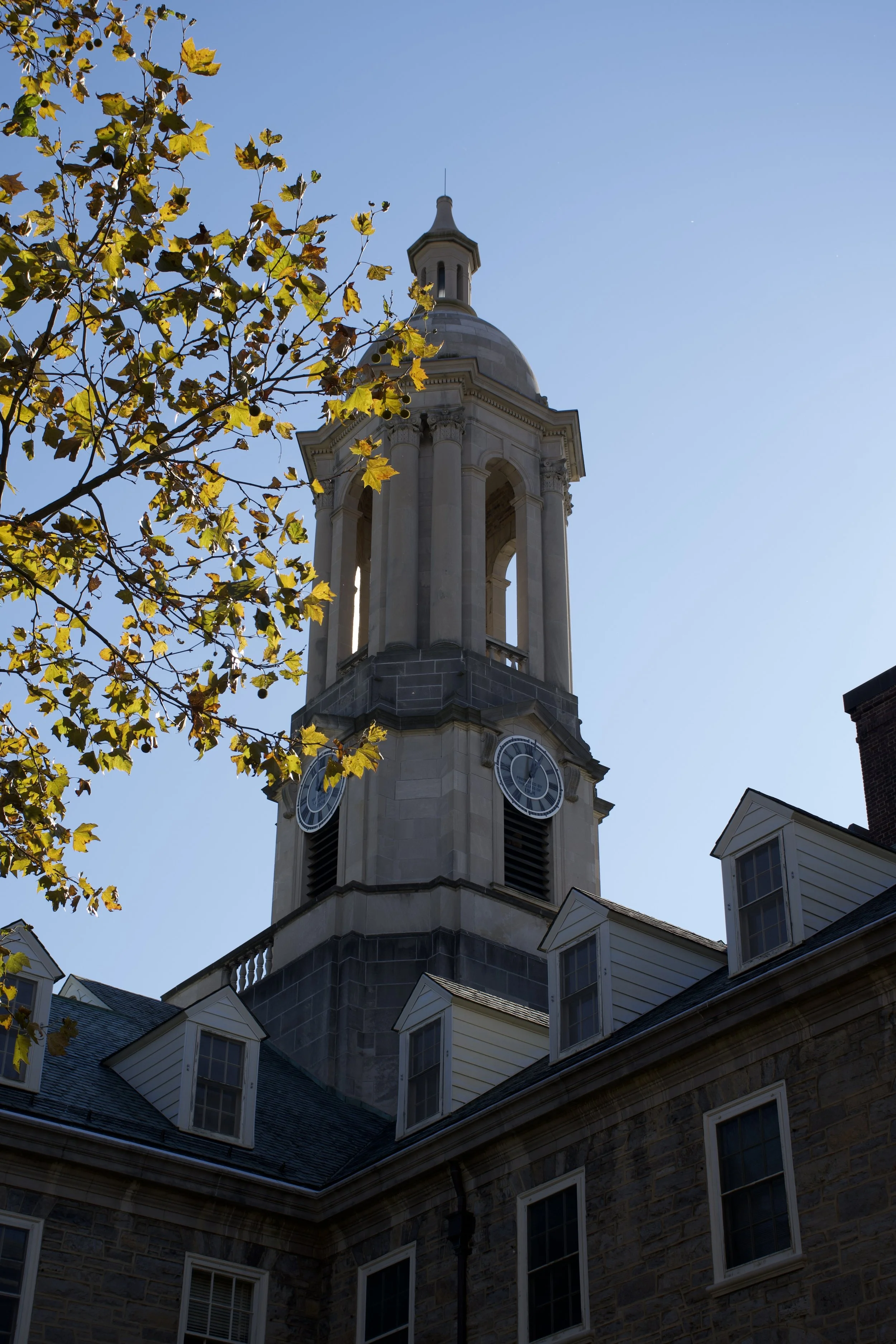 A historic clock tower with a domed top, surrounded by yellow leaves on a tree, against a clear blue sky.