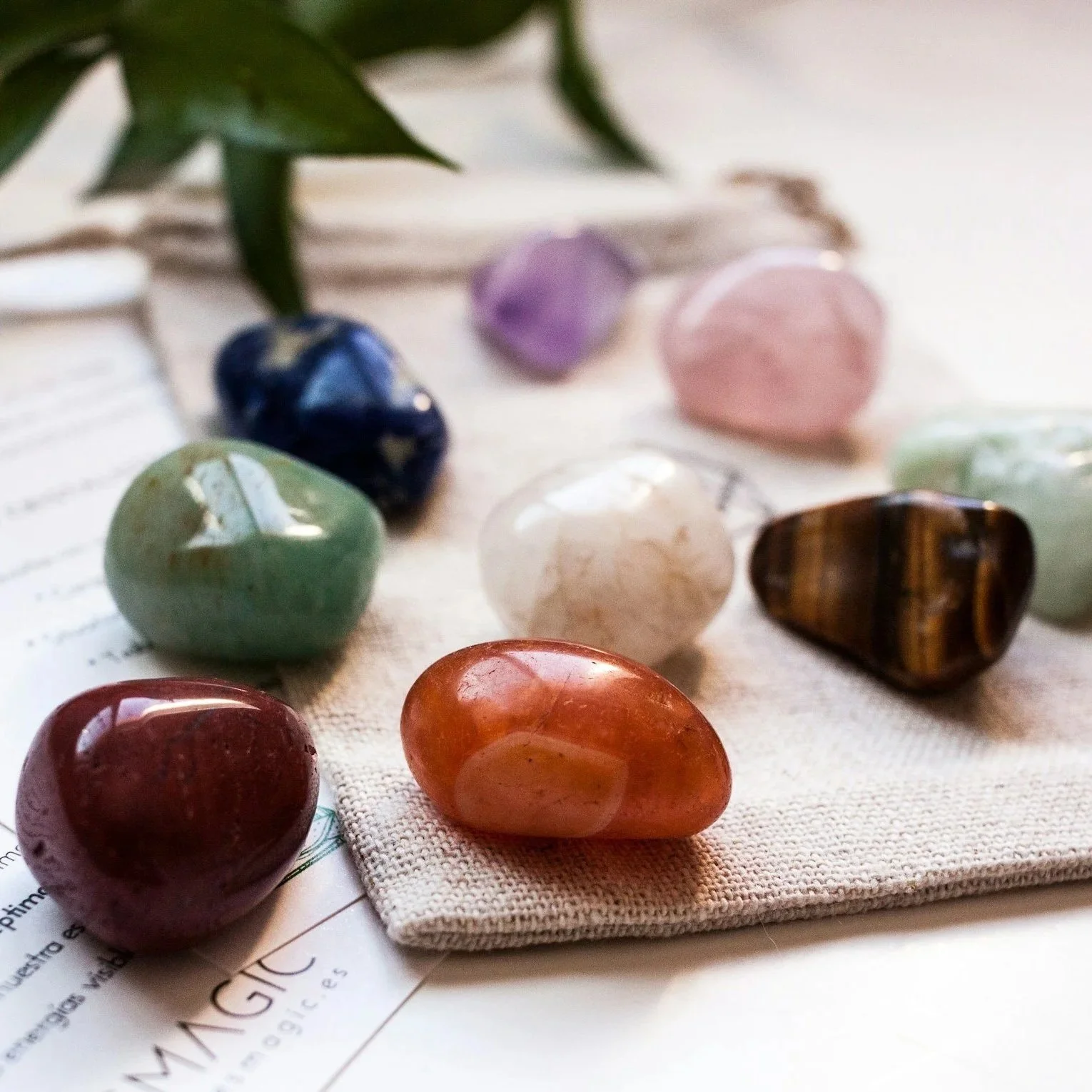 Colorful polished gemstones arranged on a white cloth with some greenery in the background.