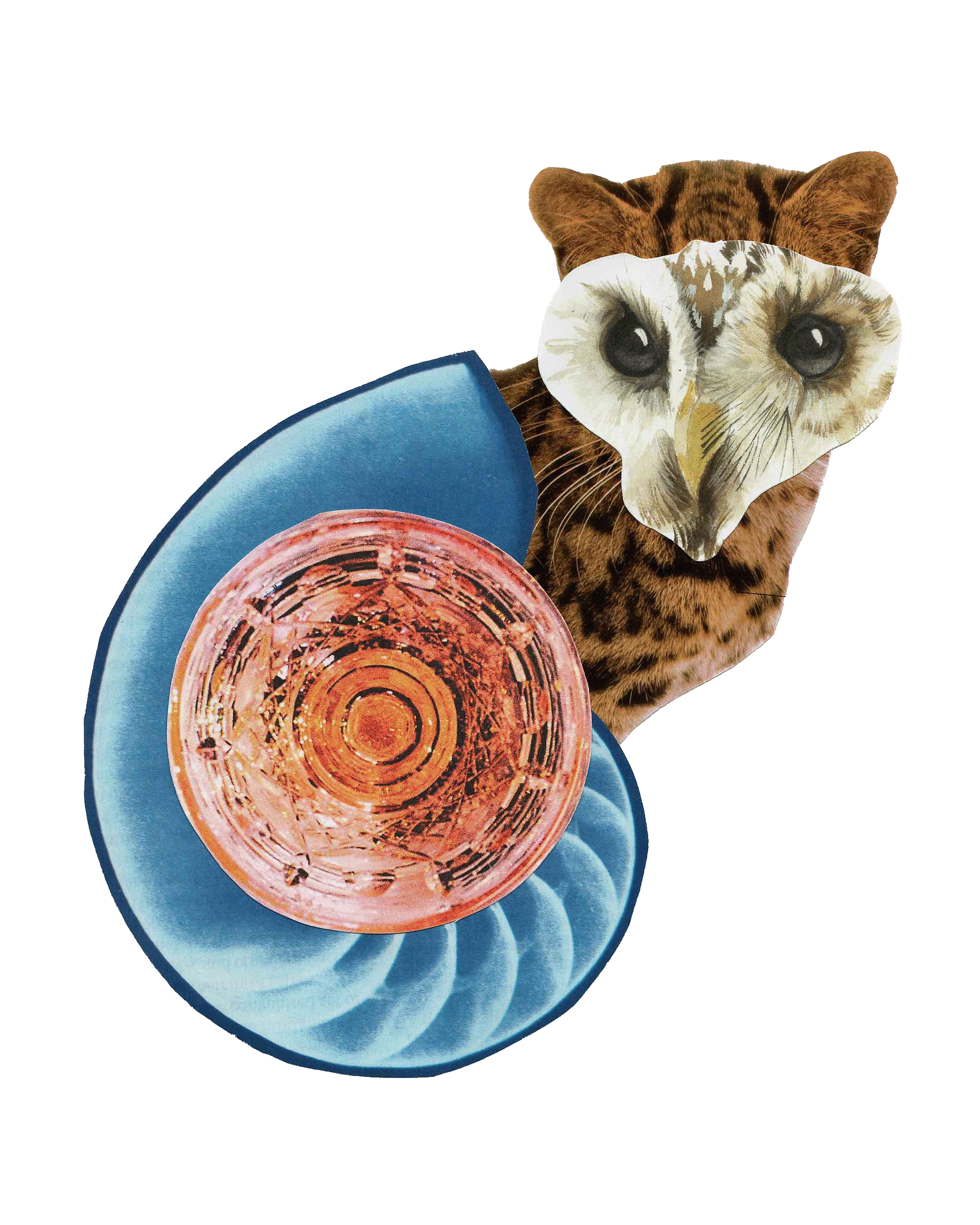 A collage featuring a Bengal cat with an owl mask, a blue plate, and a pink glass of beverage on a plain white background.