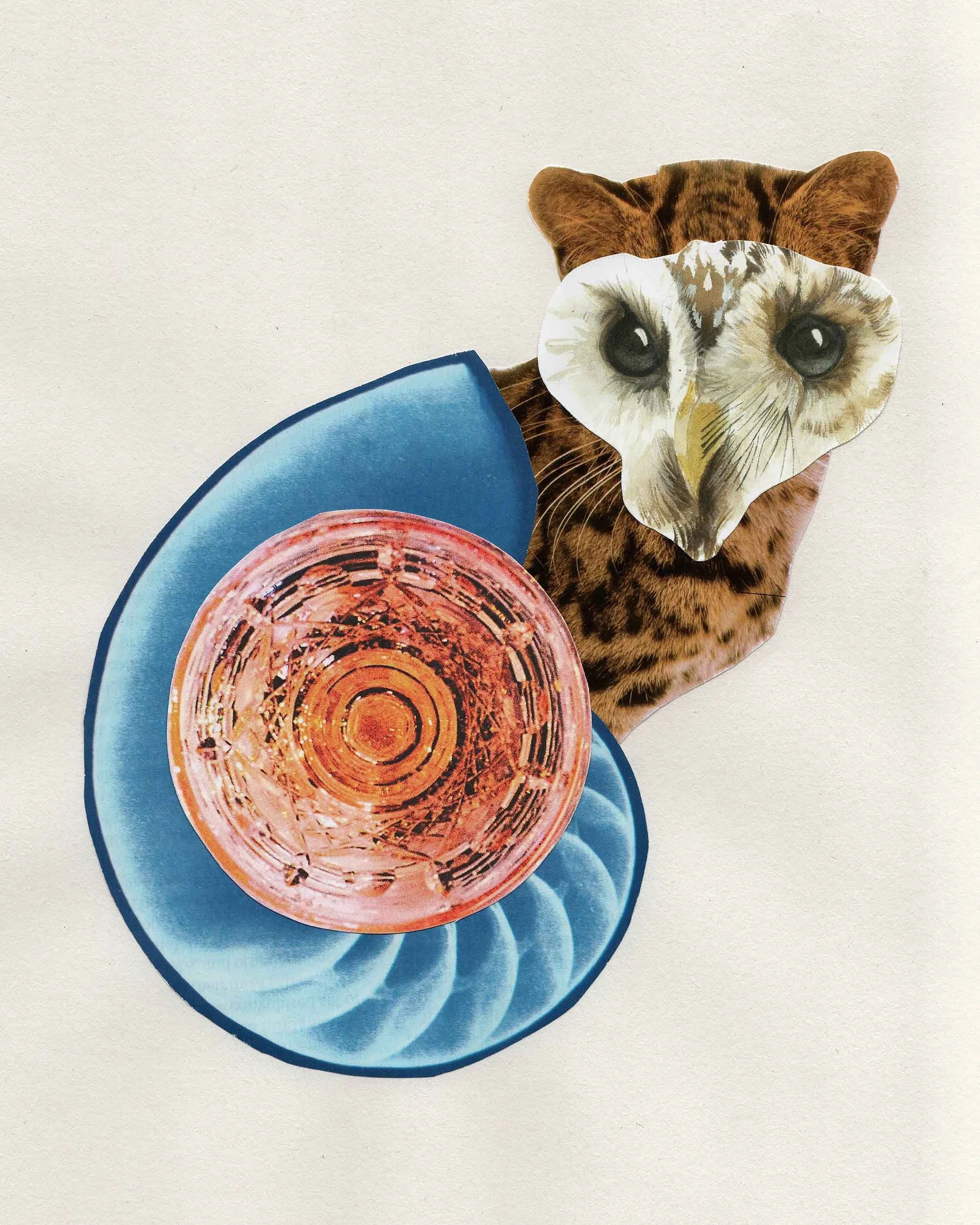 A collage featuring a Bengal cat with an owl mask, a blue plate, and a pink glass of beverage on a plain white background.