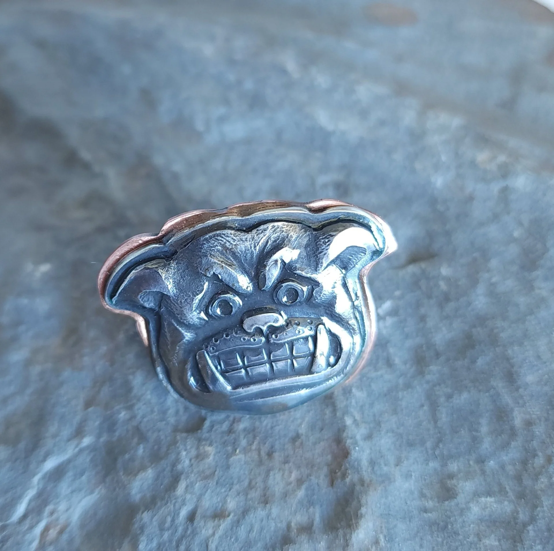 Bulldog 2.jpg