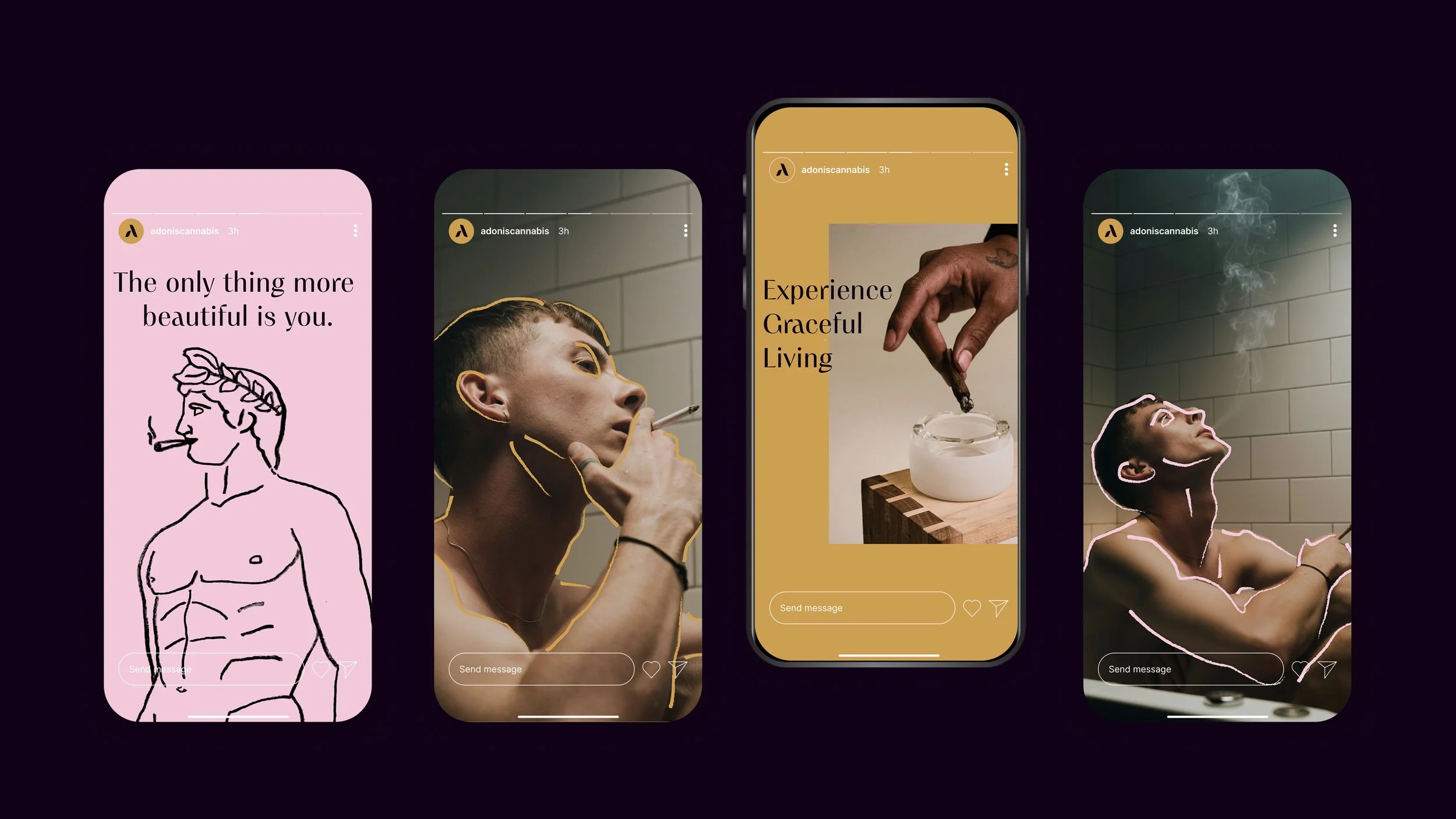 ADONIS 16_9 WEBSITE PORTFOILIO 5.jpg