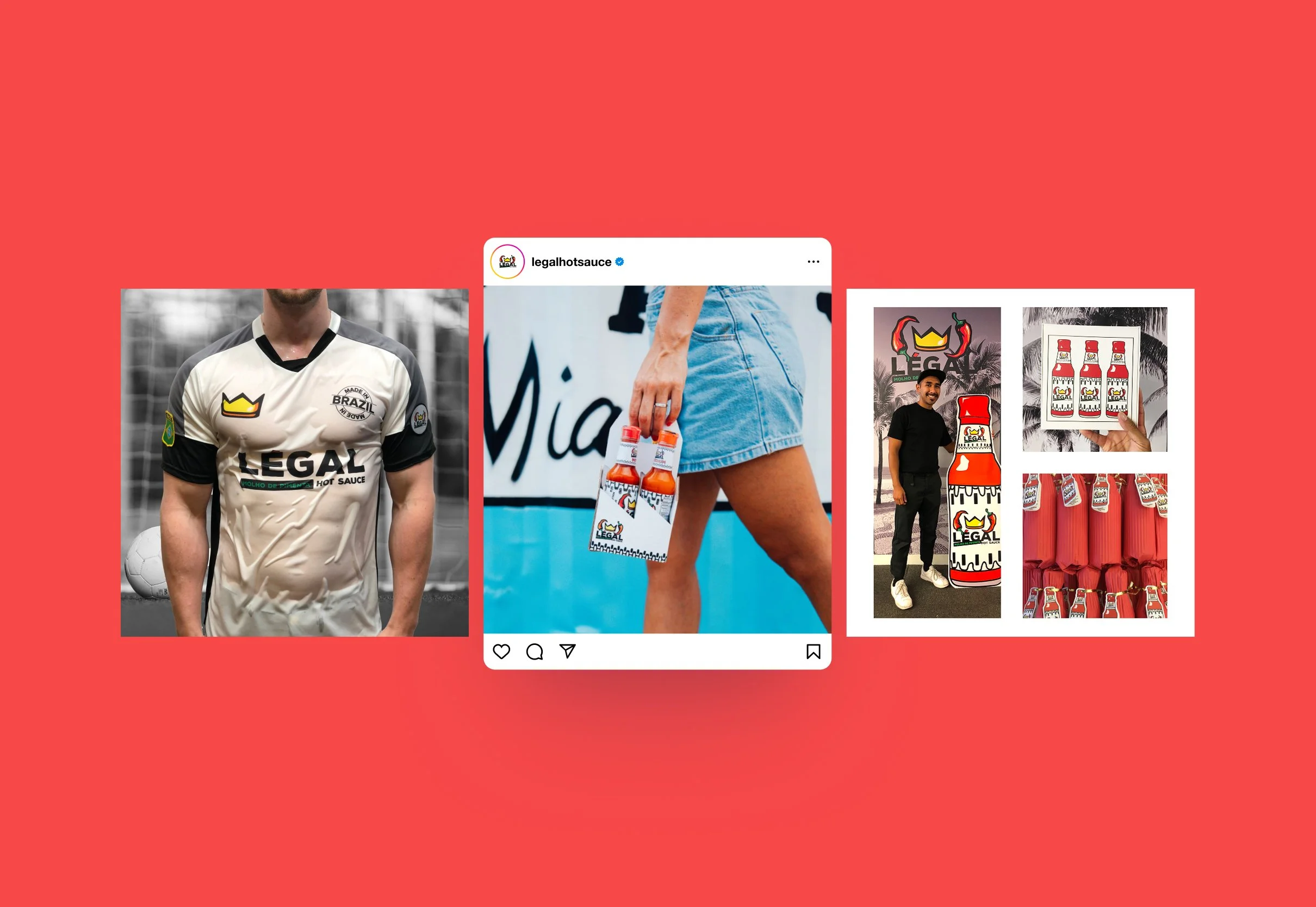 Legal Portfolio 4.jpg