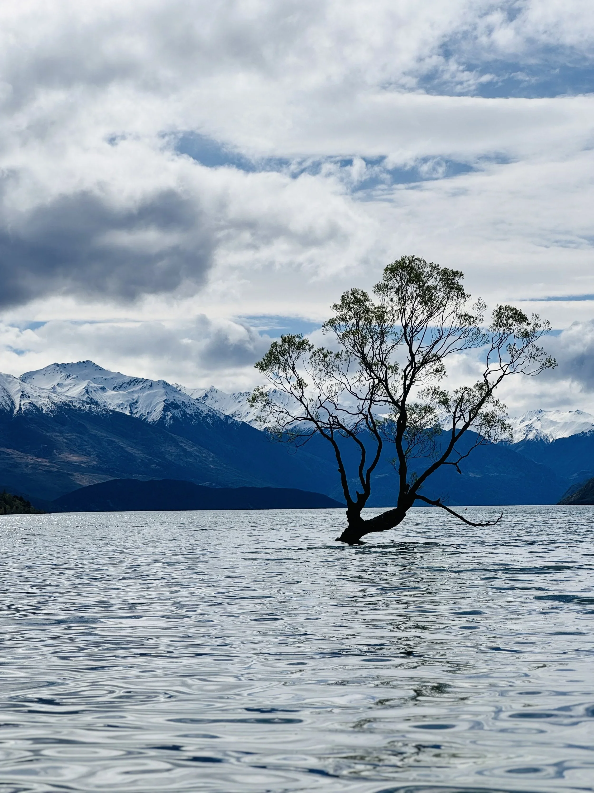 Beyond the Therapy Office: Truth about the Myth of Success