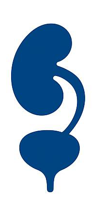 Premier Urology Services LLC