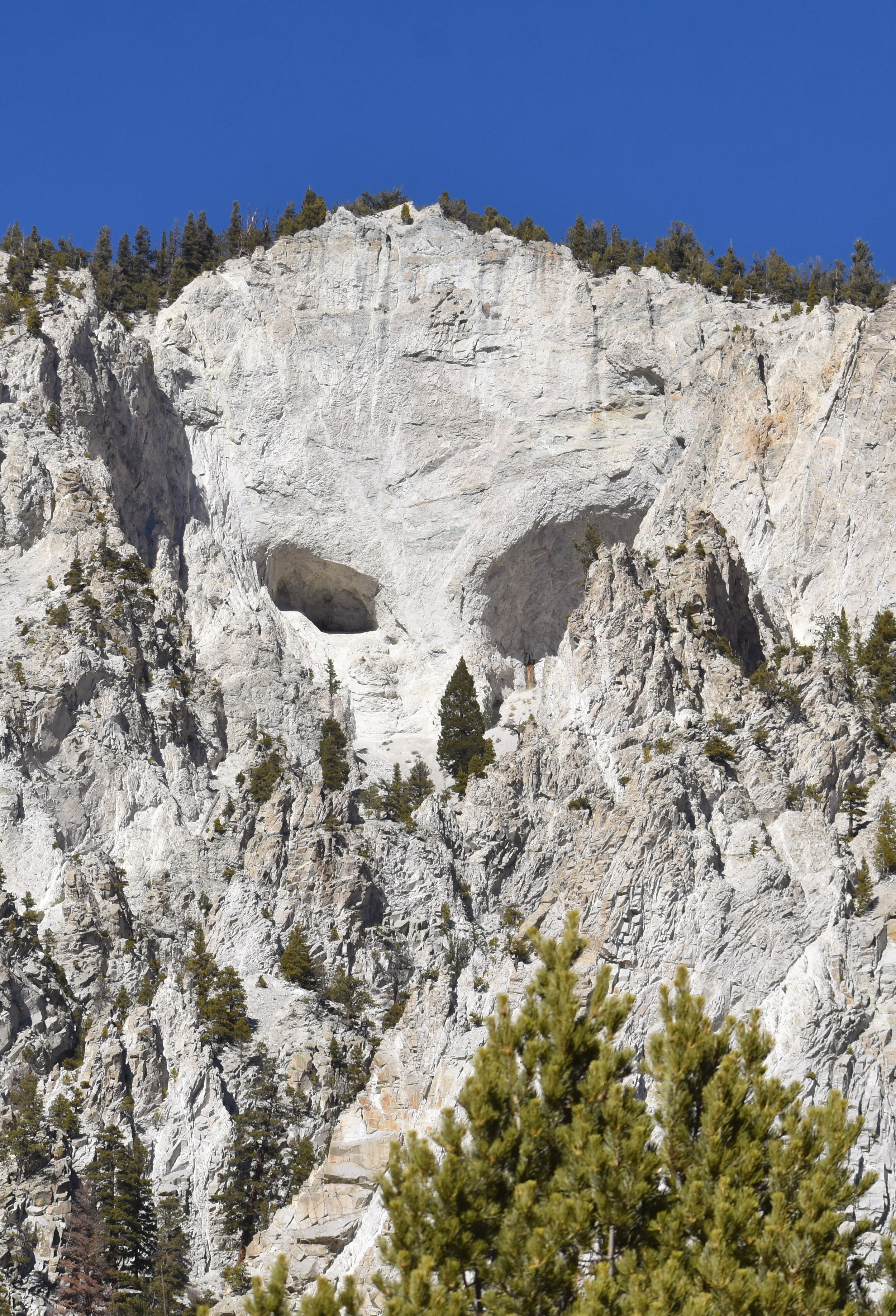 Death in the Rocks. January 2026.