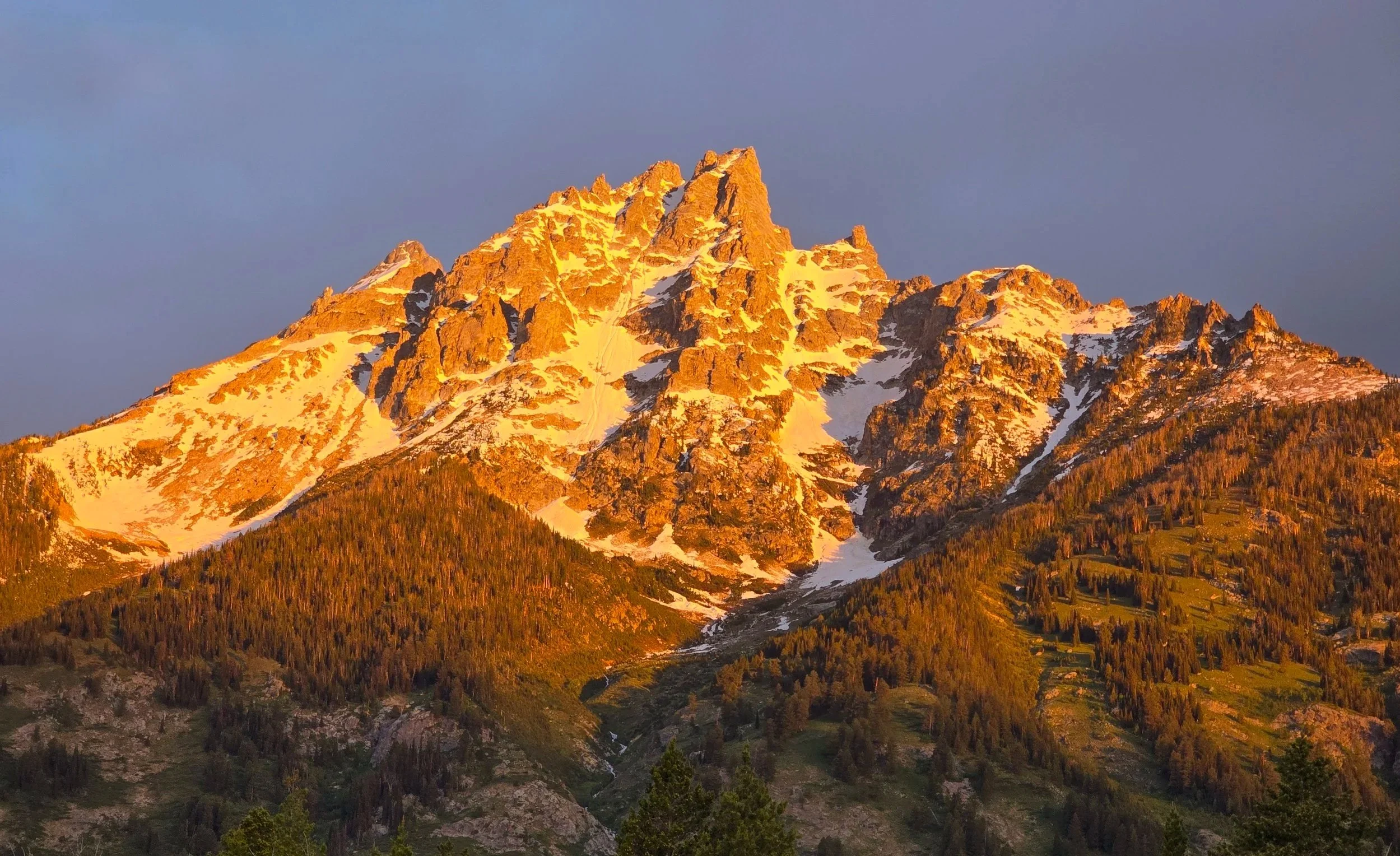 Moving to Montana