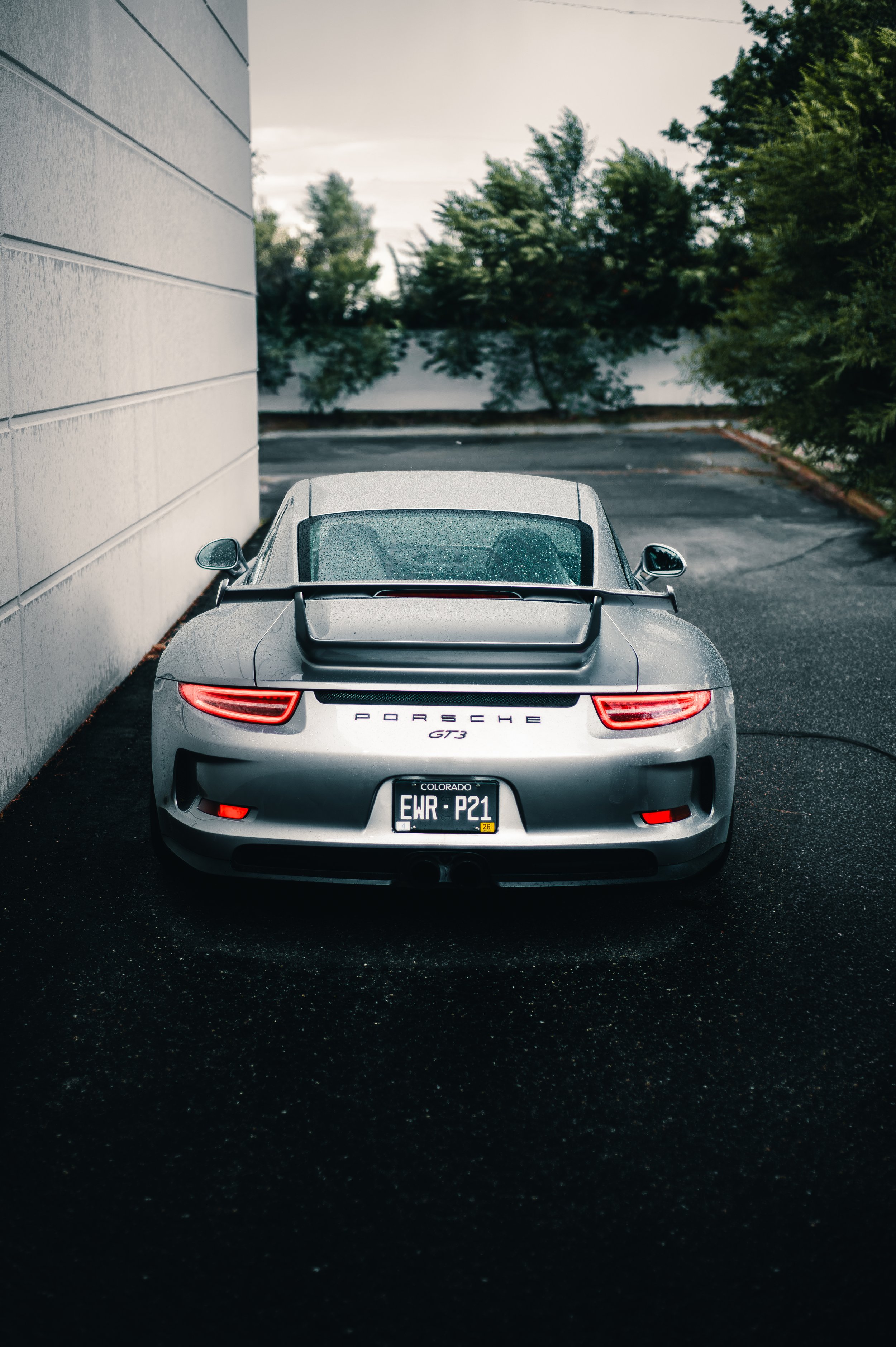 Rear view of a silver Porsche GT3 car parked in a driveway next to a white wall, with wet ground and greenery in the background.