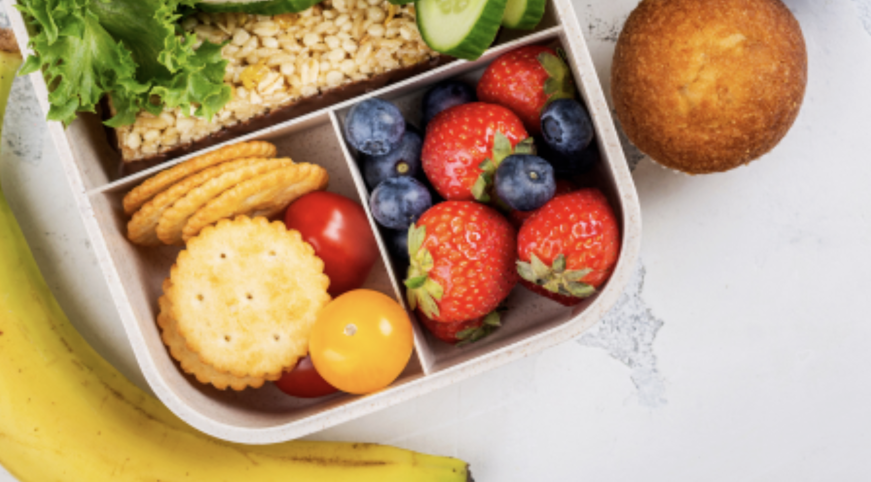 2024 June Newsletter 