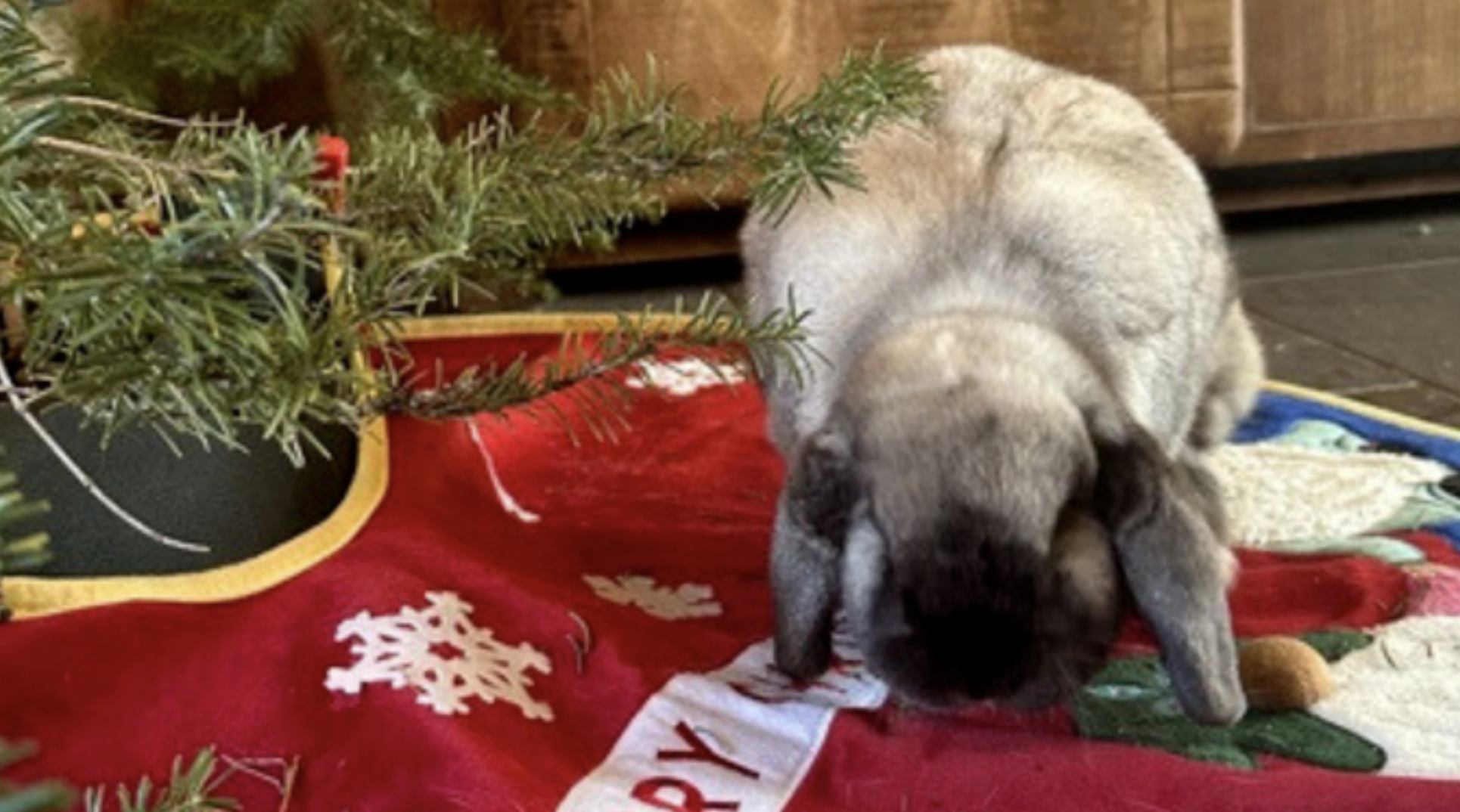 2023 December Newsletter