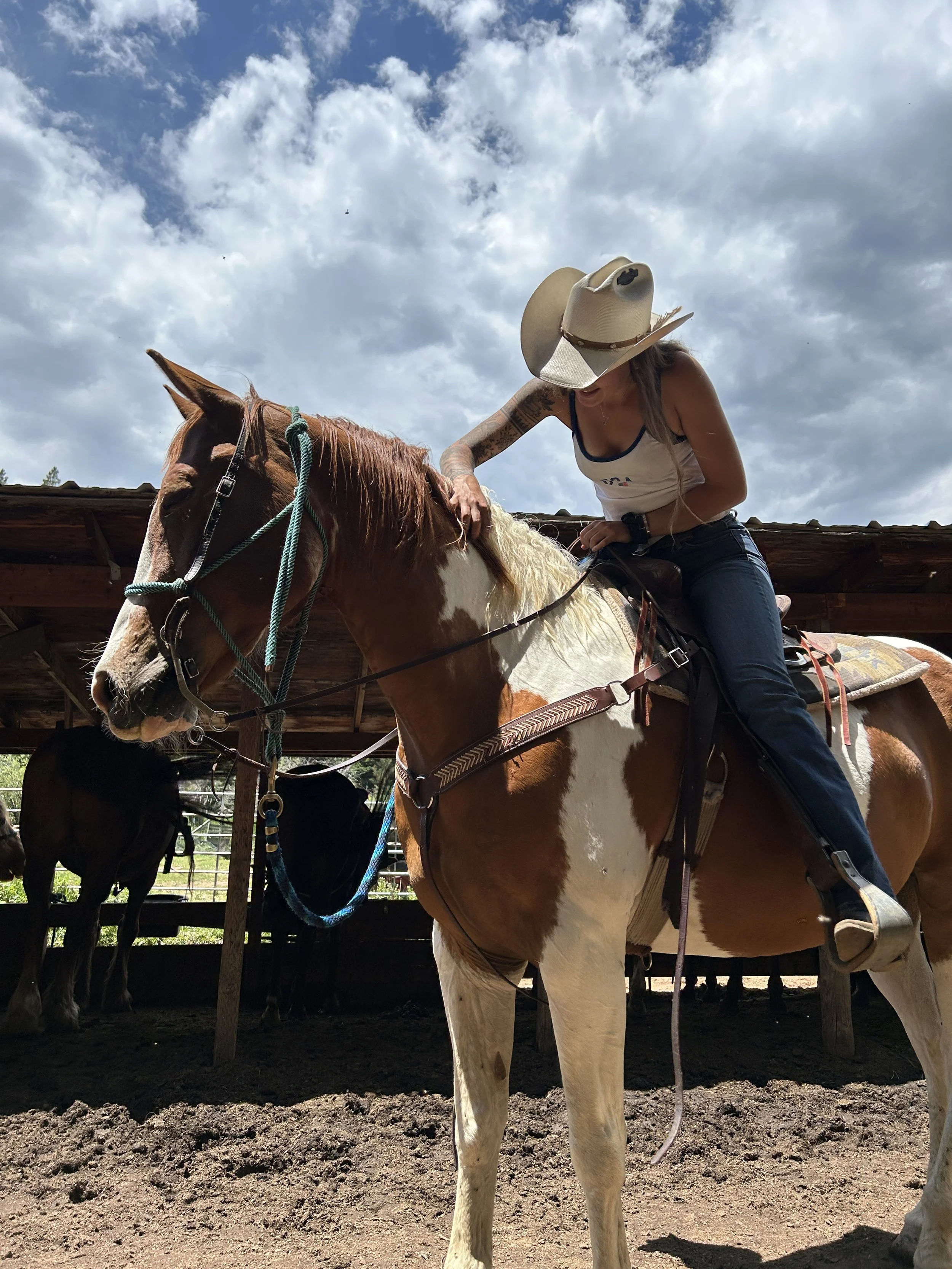 In The Saddle