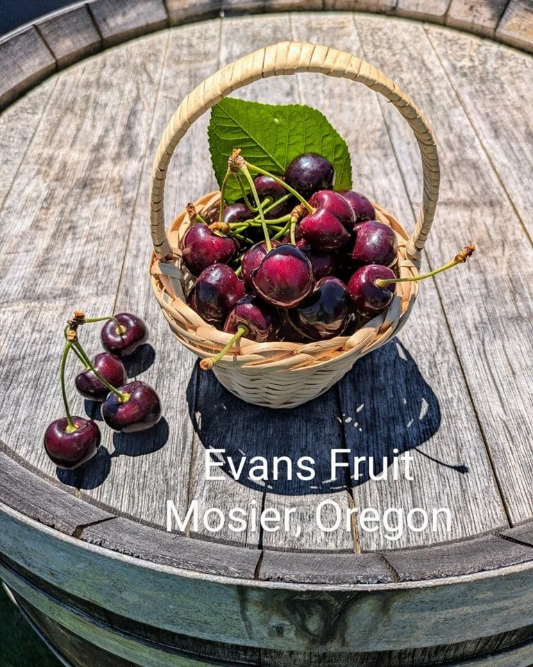 evans fruit landscape best upick cherries upick peaches near me upick fruit mosier the dalles portland oregon bing in basket.jpg (Copy)