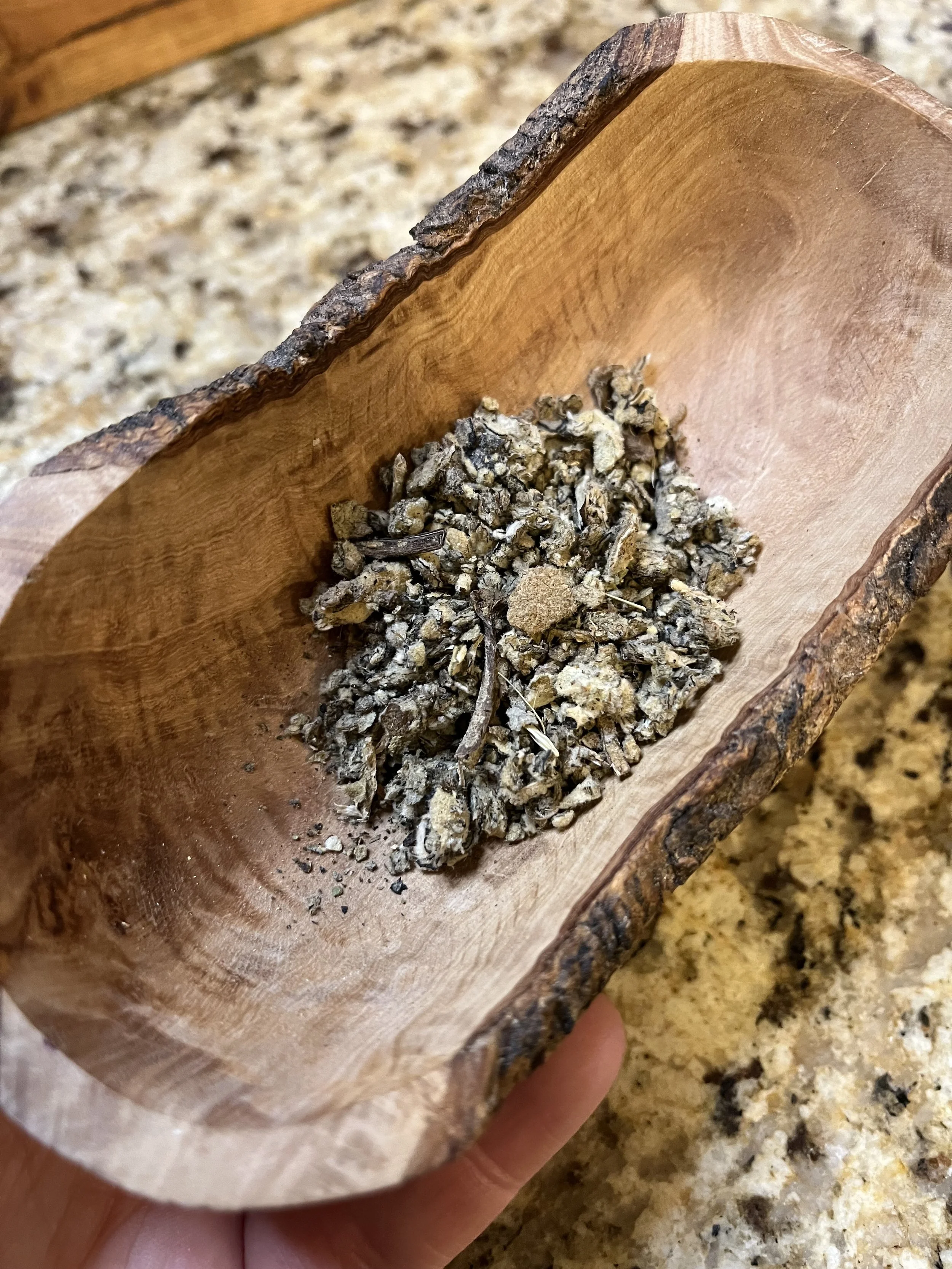 Organic Mullein Leaf Tea