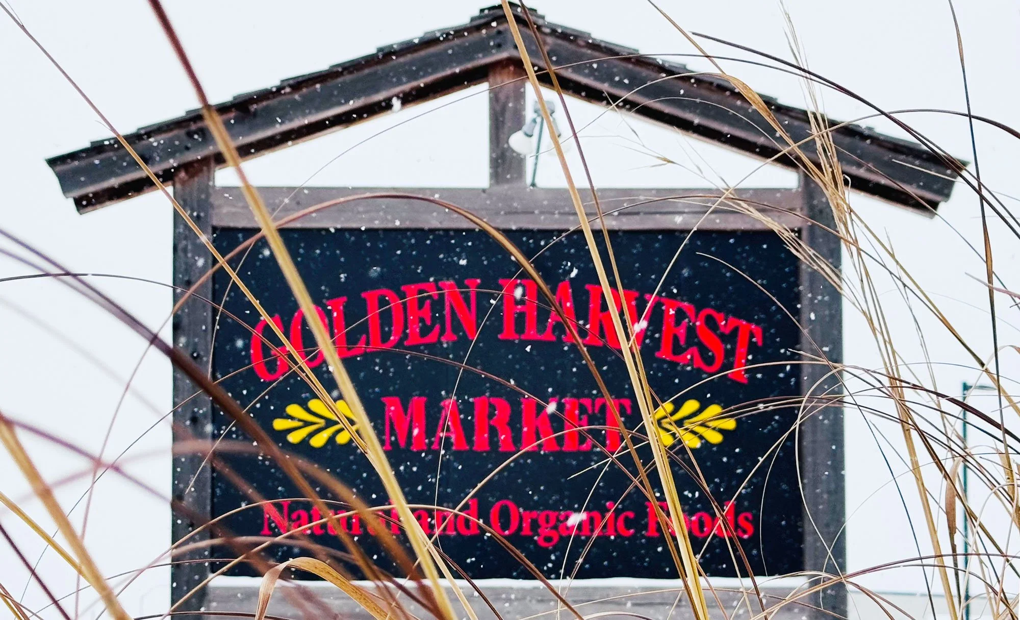 Sign for Golden Harvest Market with red and yellow lettering, partially obscured by dry grass, snow falling.