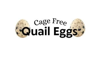 Quail-Eggs-Grocery-Logos-1.jpg
