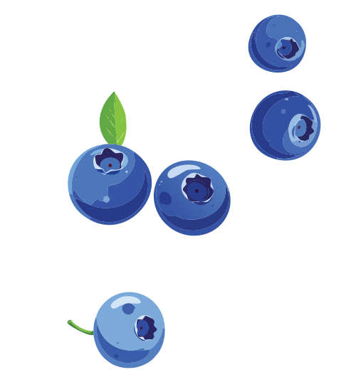 A digital illustration of blueberries arranged in layers with a black background.