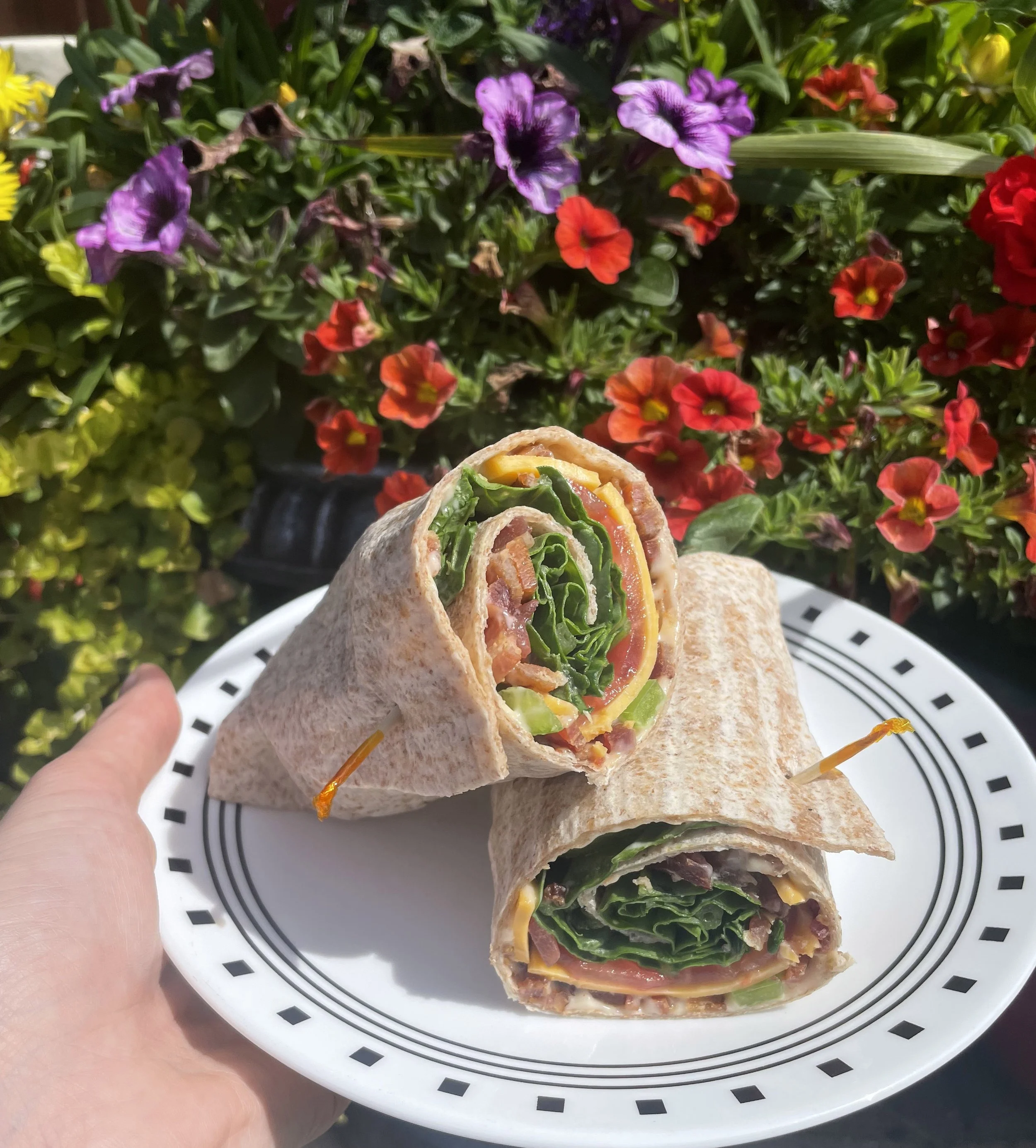 Fresh whole wheat wrap with cheese, spinach, bacon and green peppers.