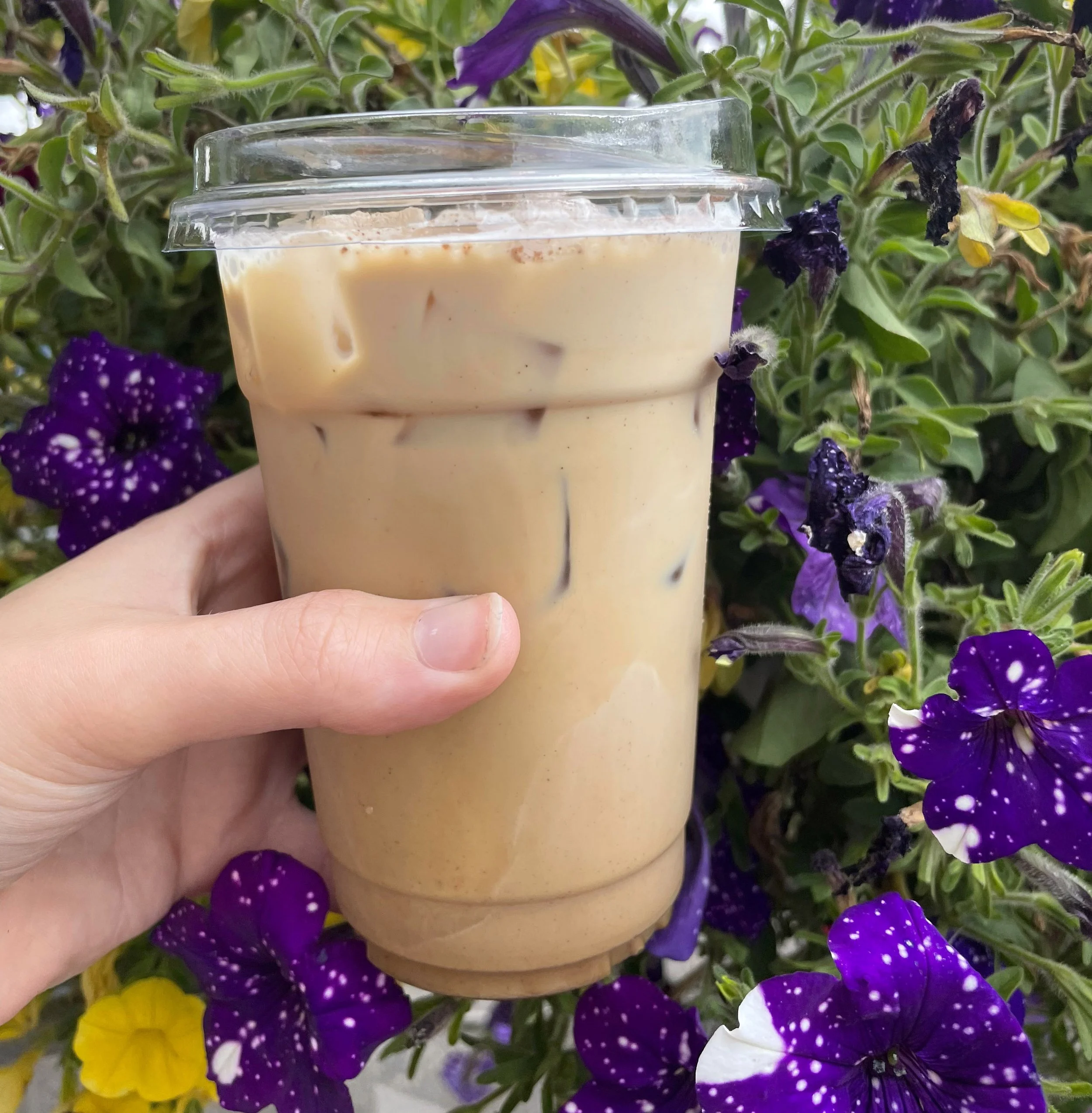 Iced chai drink being held up in front of flowers.