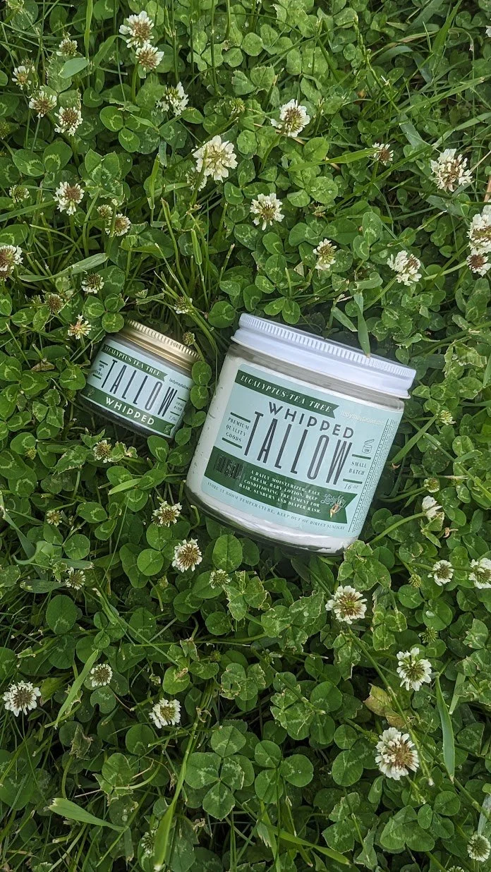 Lady May whipped tallow in grass.
