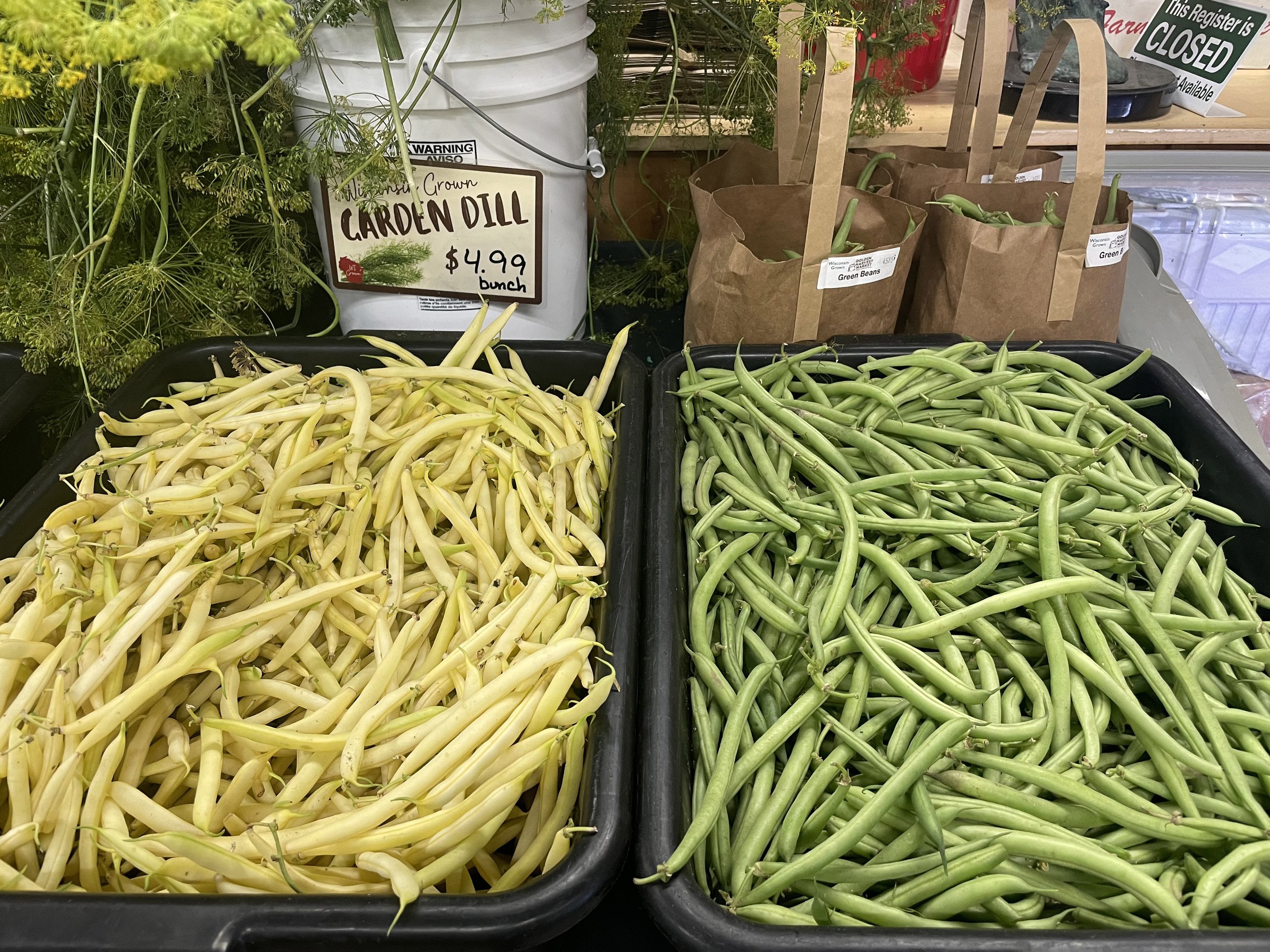 Dill and Local Beans