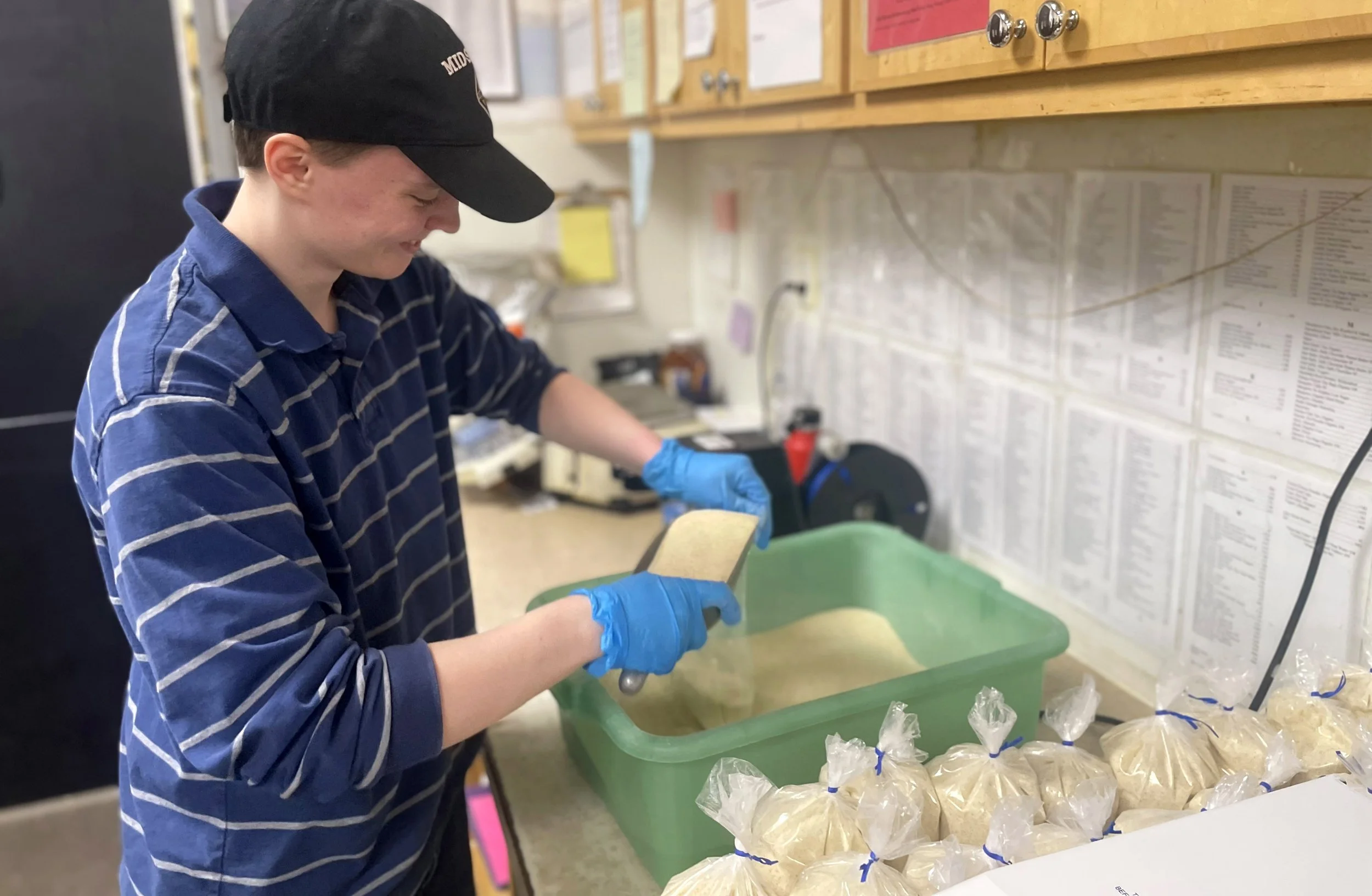 An employee wearing gloves is bagging up bulk flour to be sold.