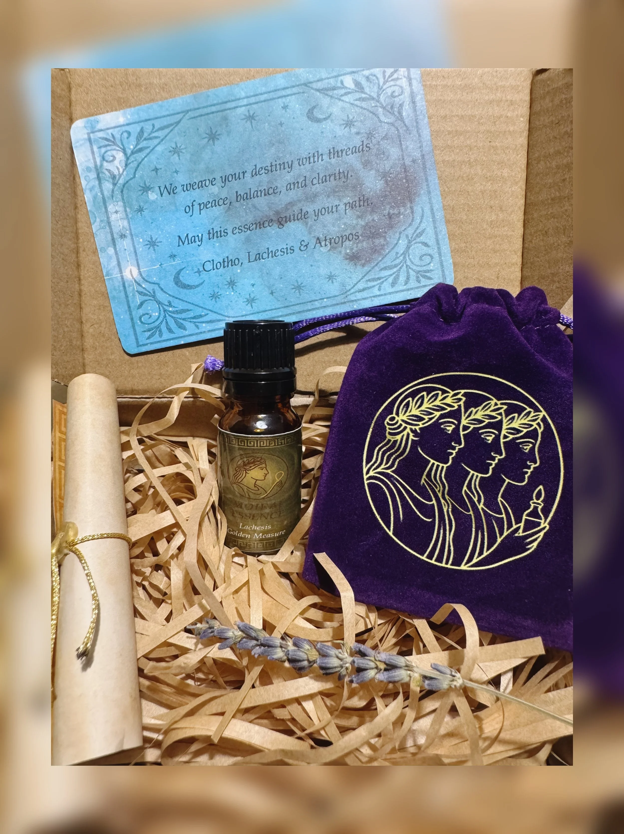 lachesis box.jpeg