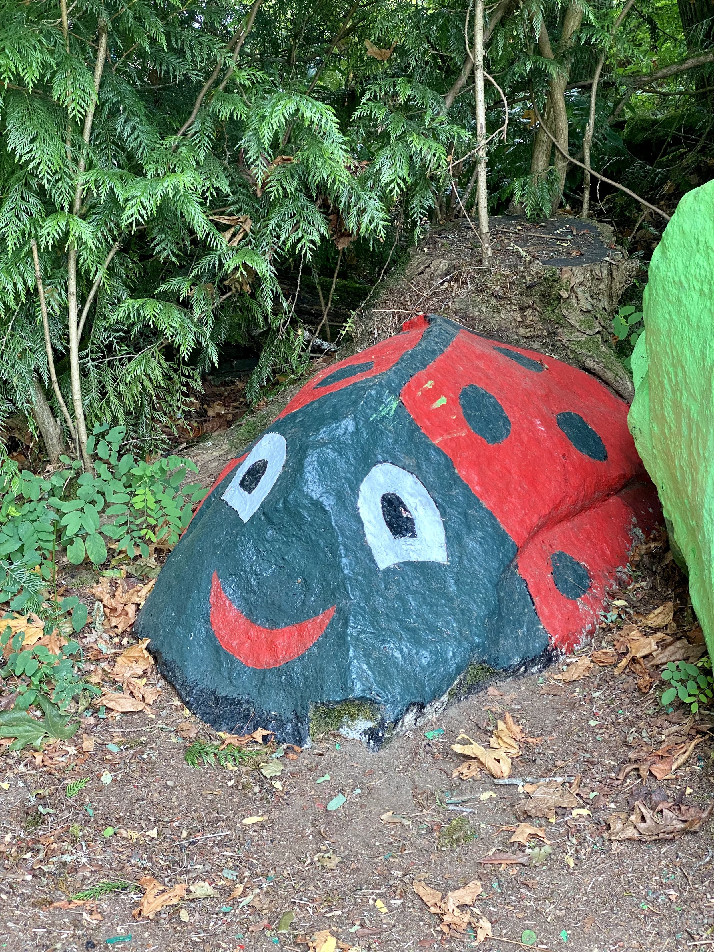 Painted rock with a smiling face, big eyes, and ladybug spots, located in a forested area with green foliage and fallen leaves around.