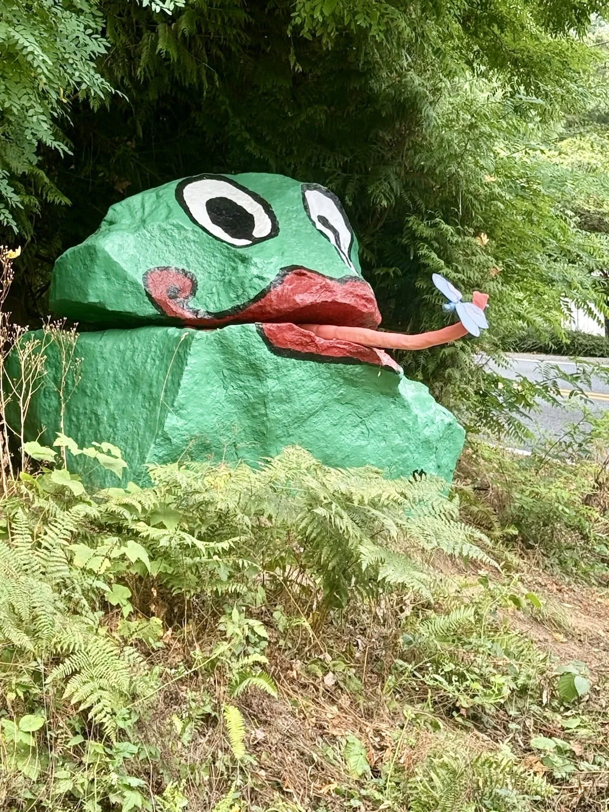 Frog Rock catches a firefly, summer 2025